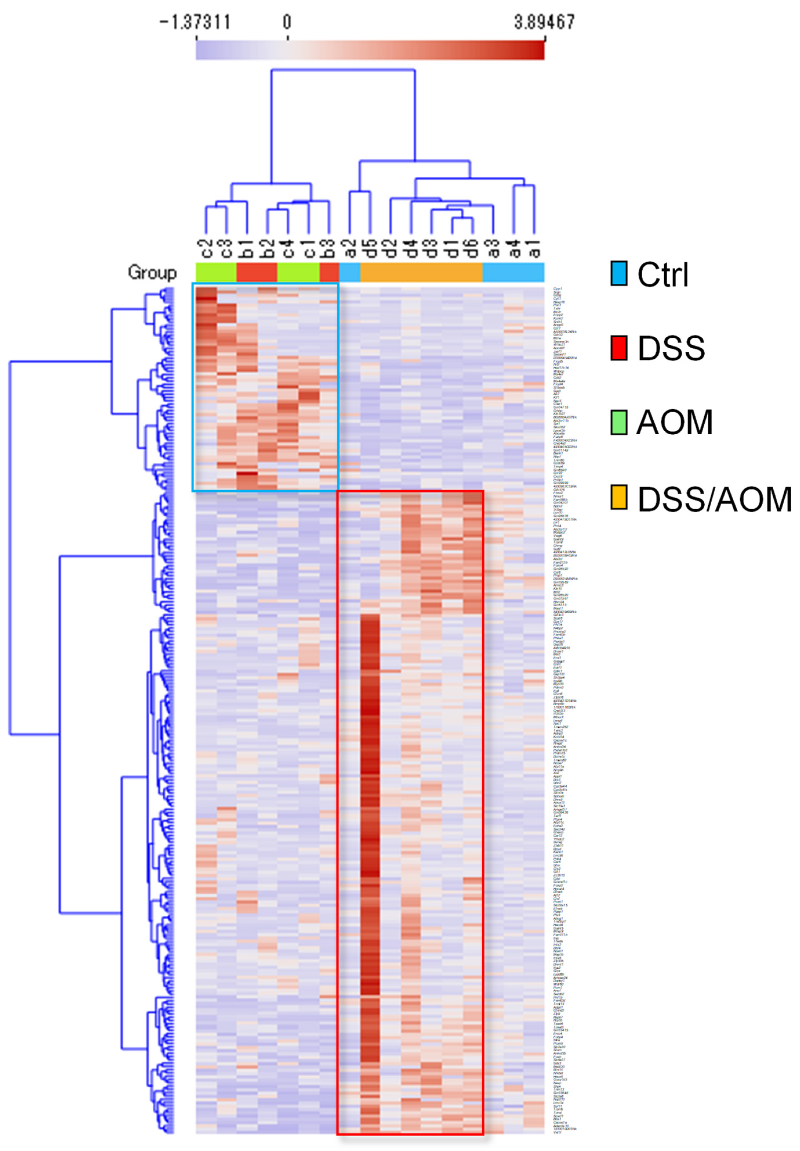 Cancers 13 03683 g002