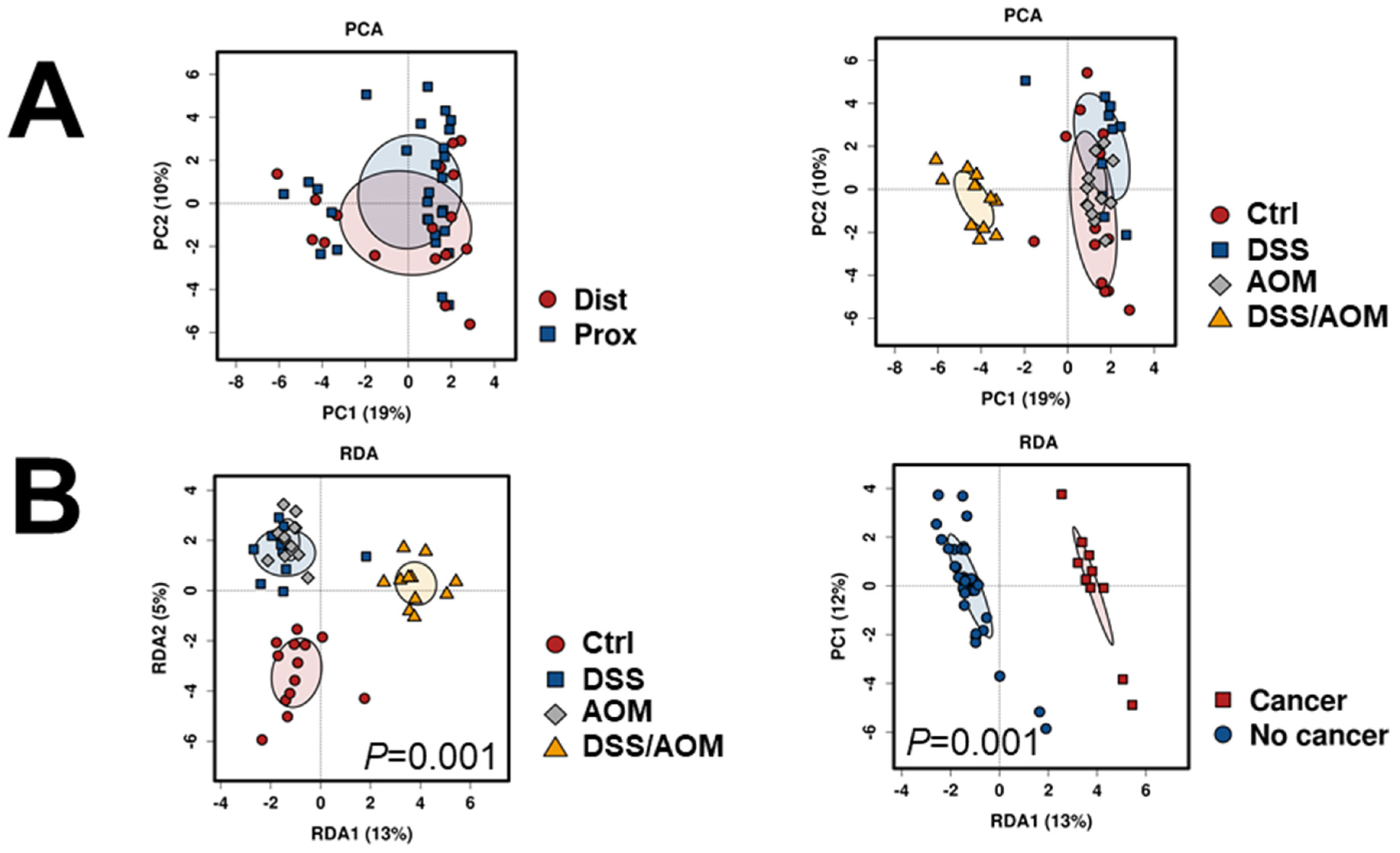 Cancers 13 03683 g004a