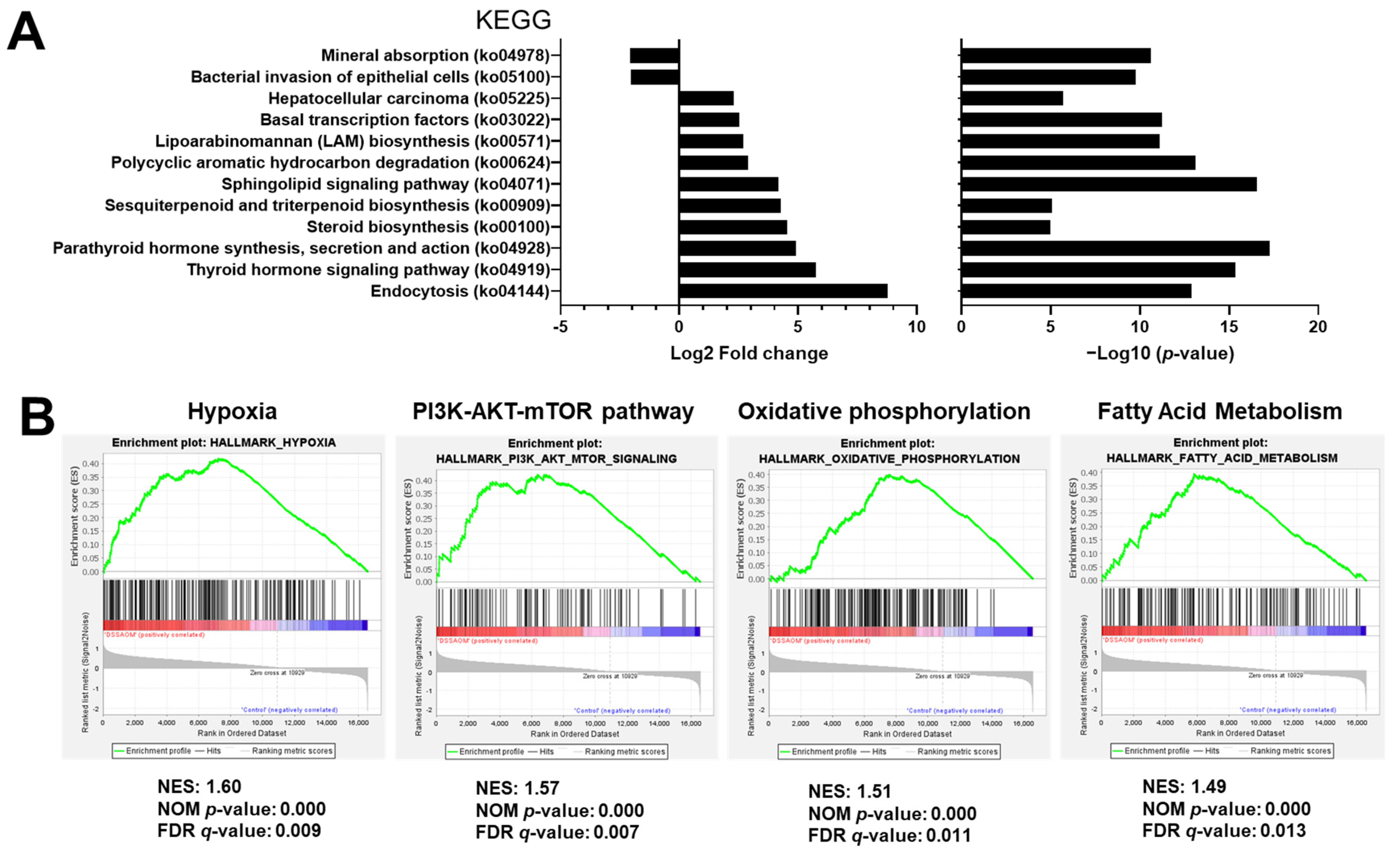 Cancers 13 03683 g005