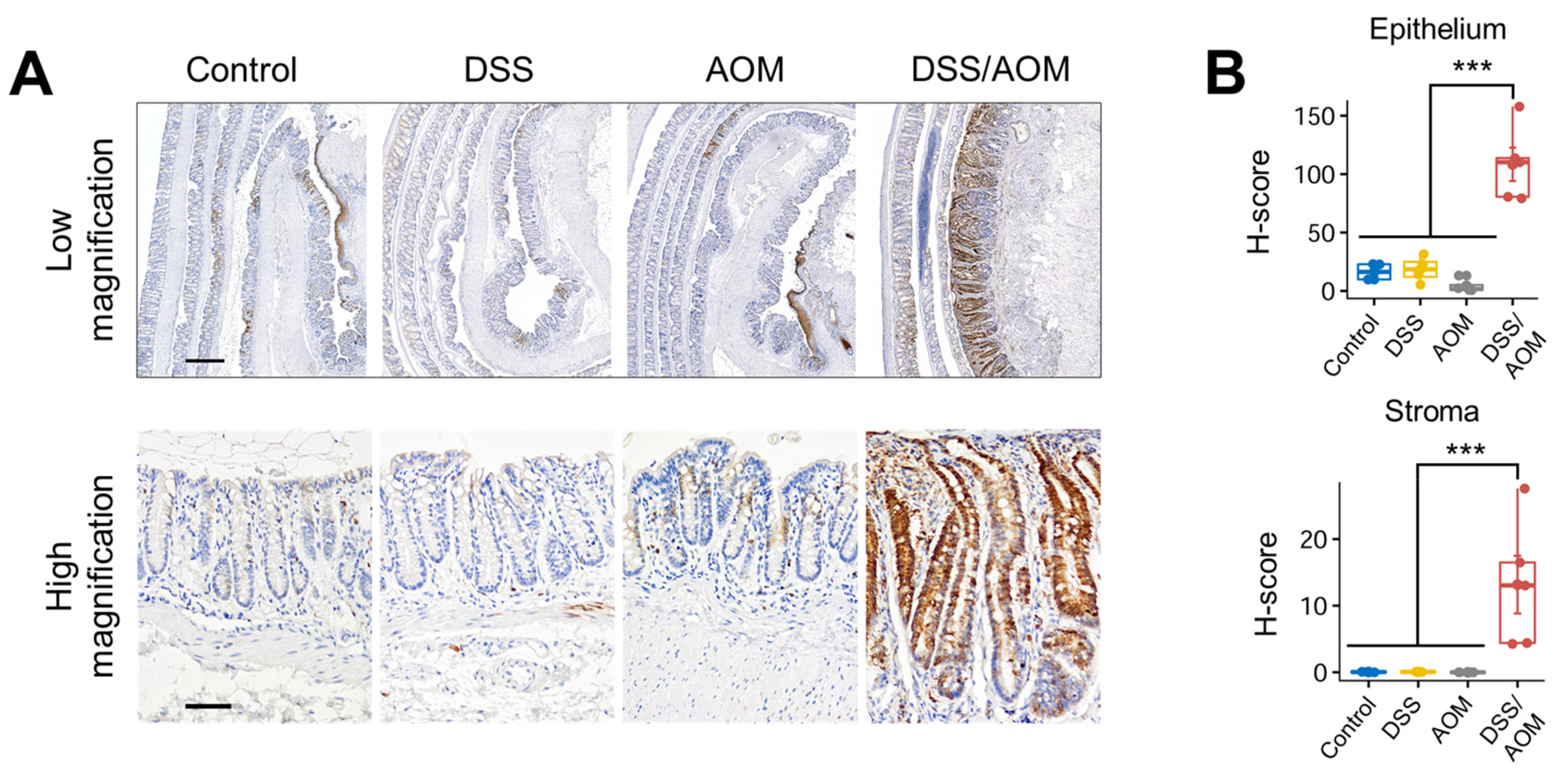 Cancers 13 03683 g006