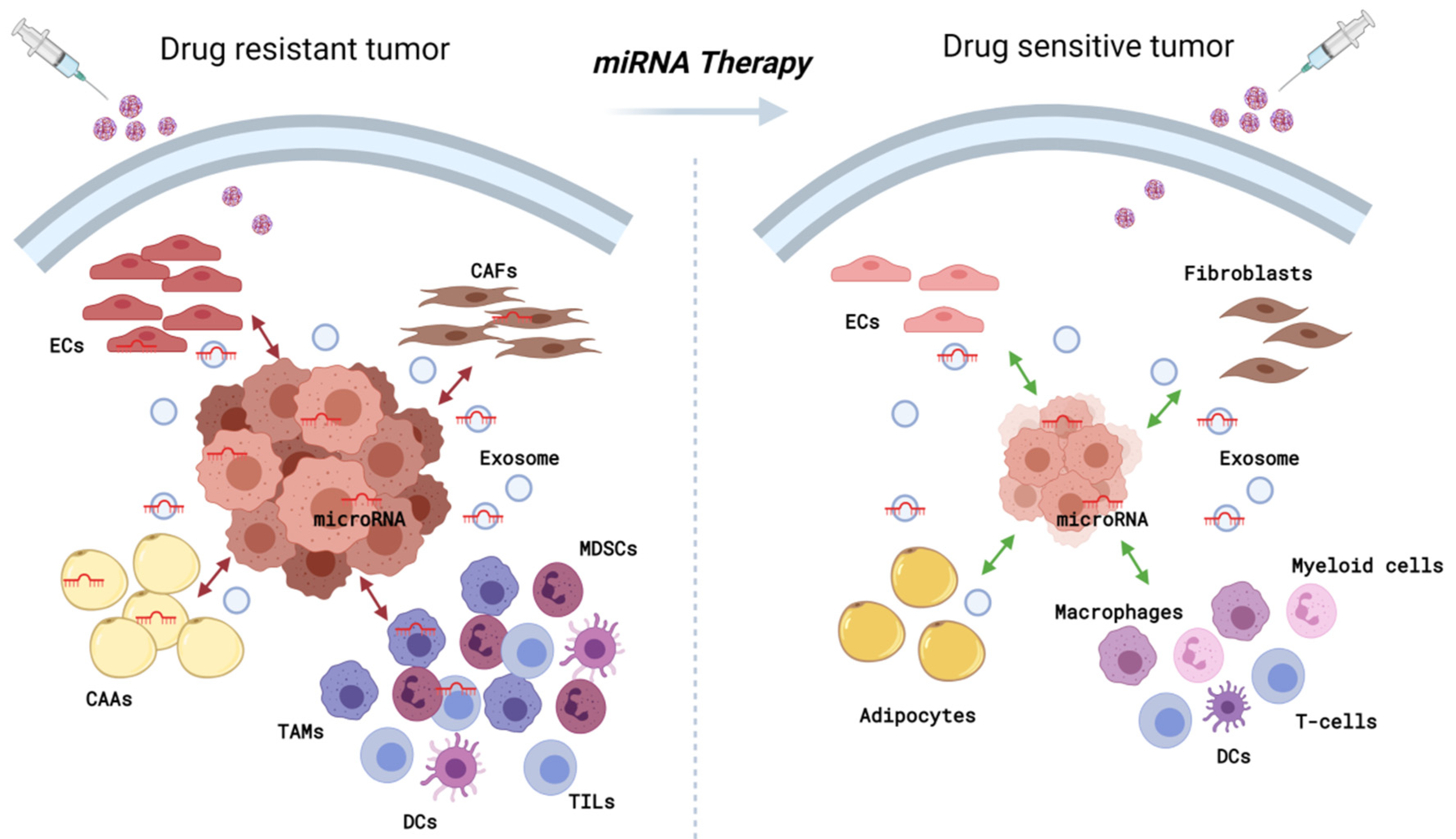 Cancers 13 03691 g001 Cancers 13 03691 g001