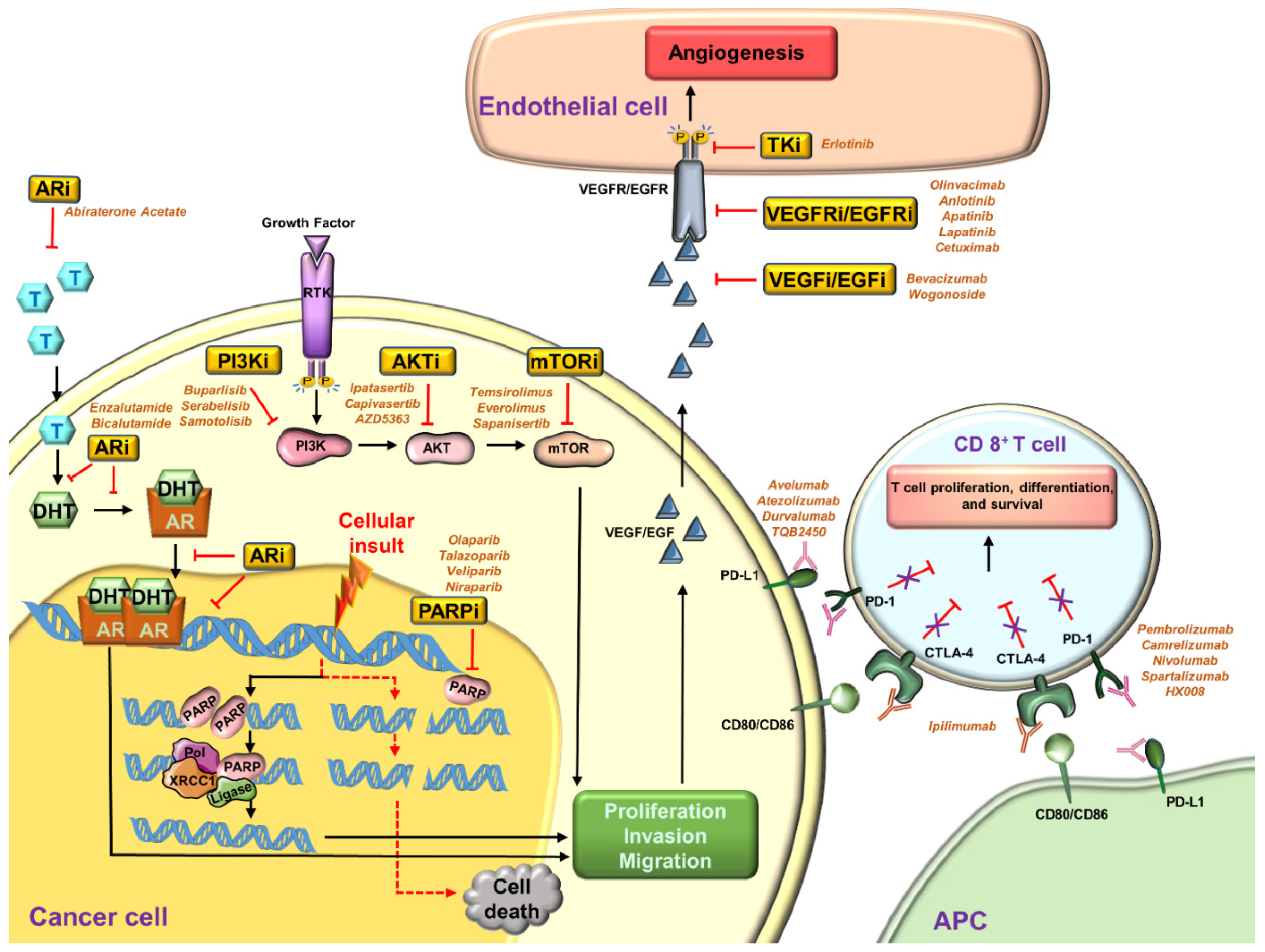 Cancers 13 03697 g001 Cancers 13 03697 g001