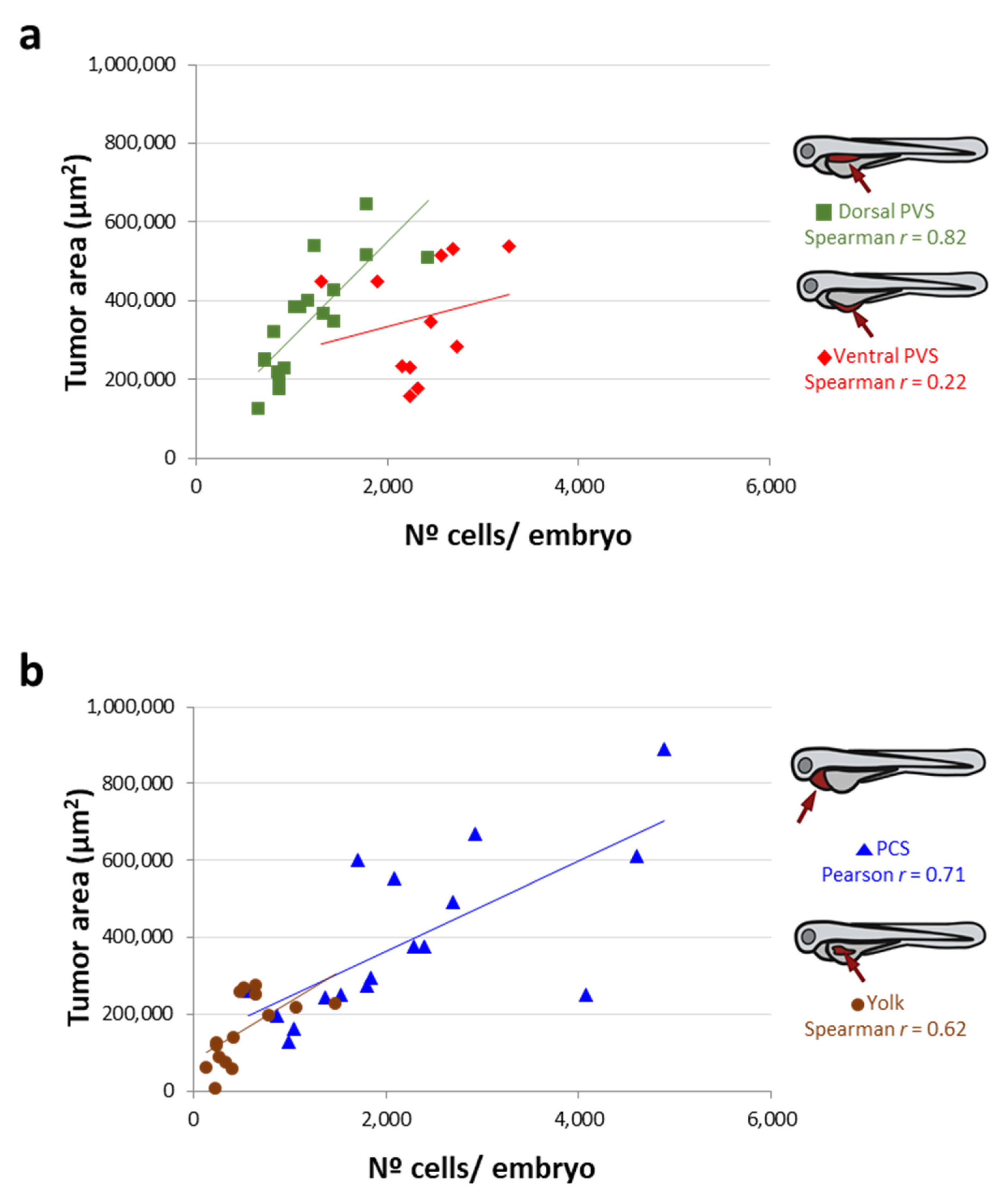 Cancers 13 03705 g004