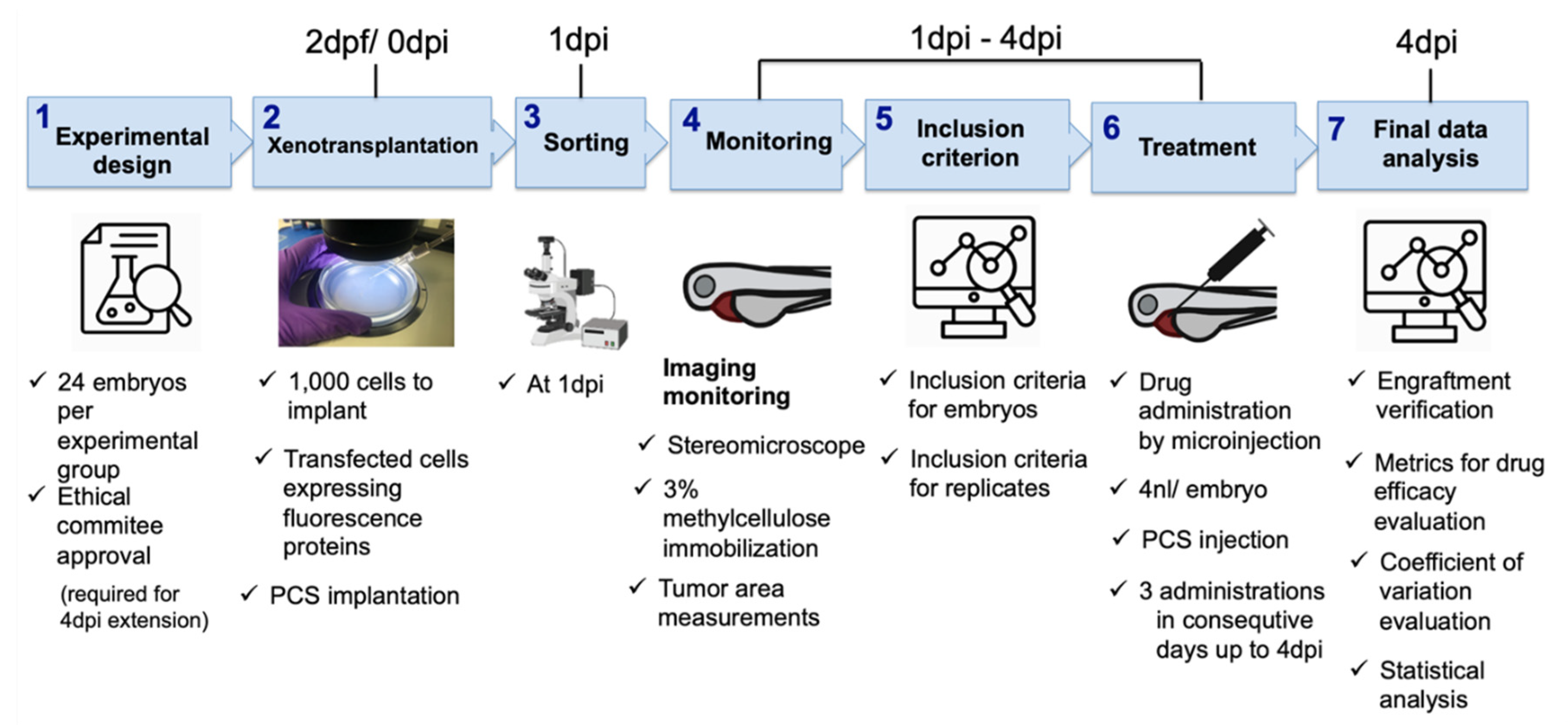 Cancers 13 03705 g010