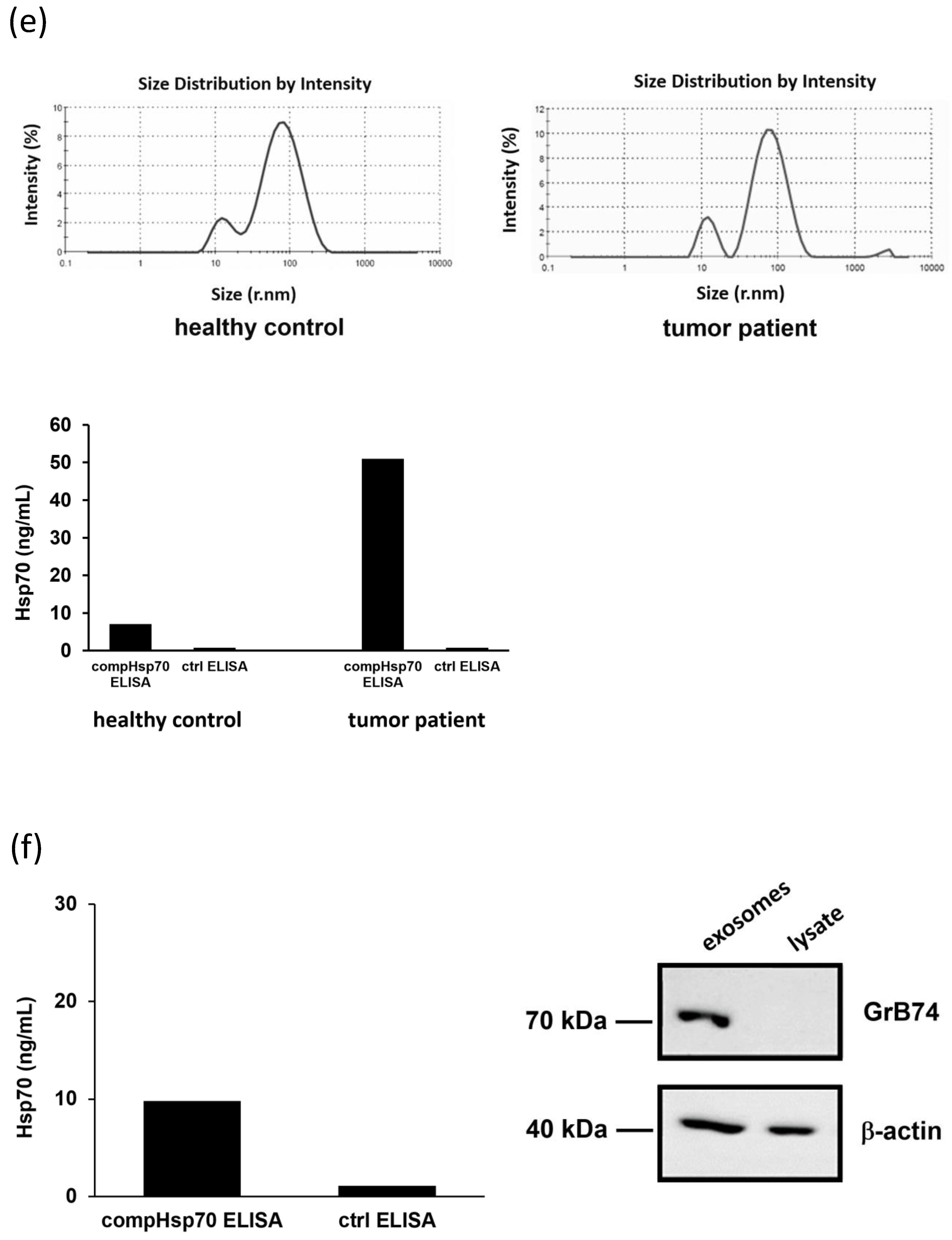 Cancers 13 03706 g006b
