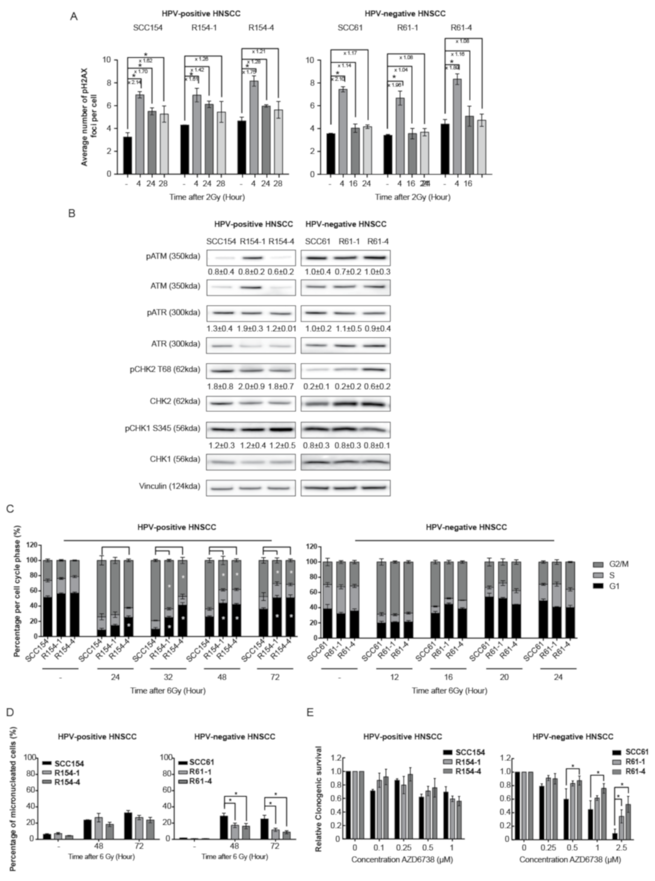 Cancers 13 03717 g002 Cancers 13 03717 g002