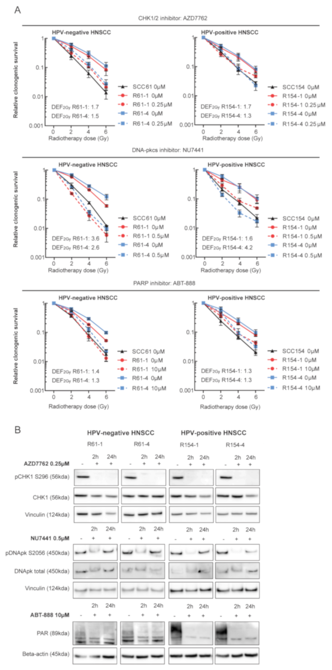 Cancers 13 03717 g003 Cancers 13 03717 g003