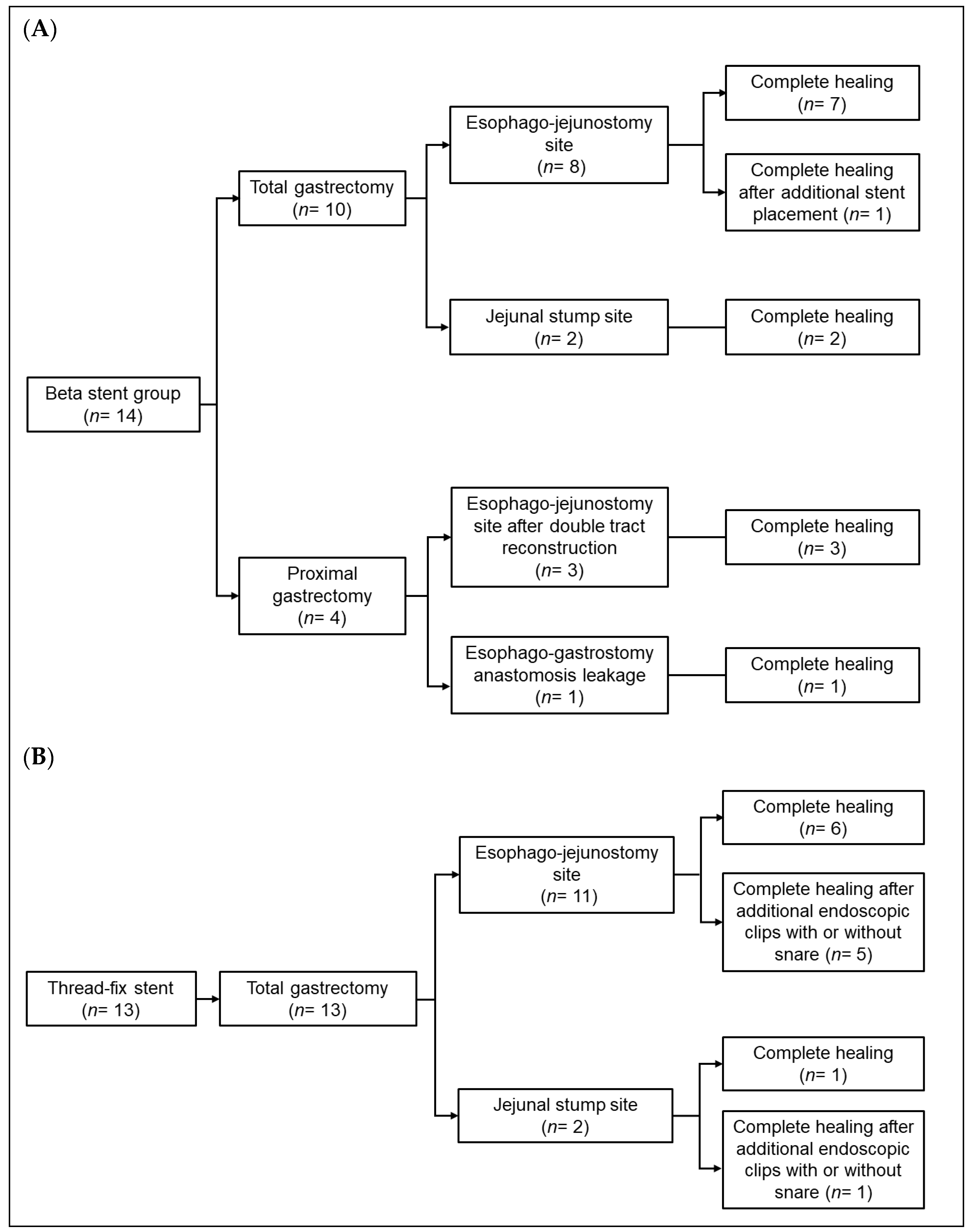 Cancers 13 03720 g003 550