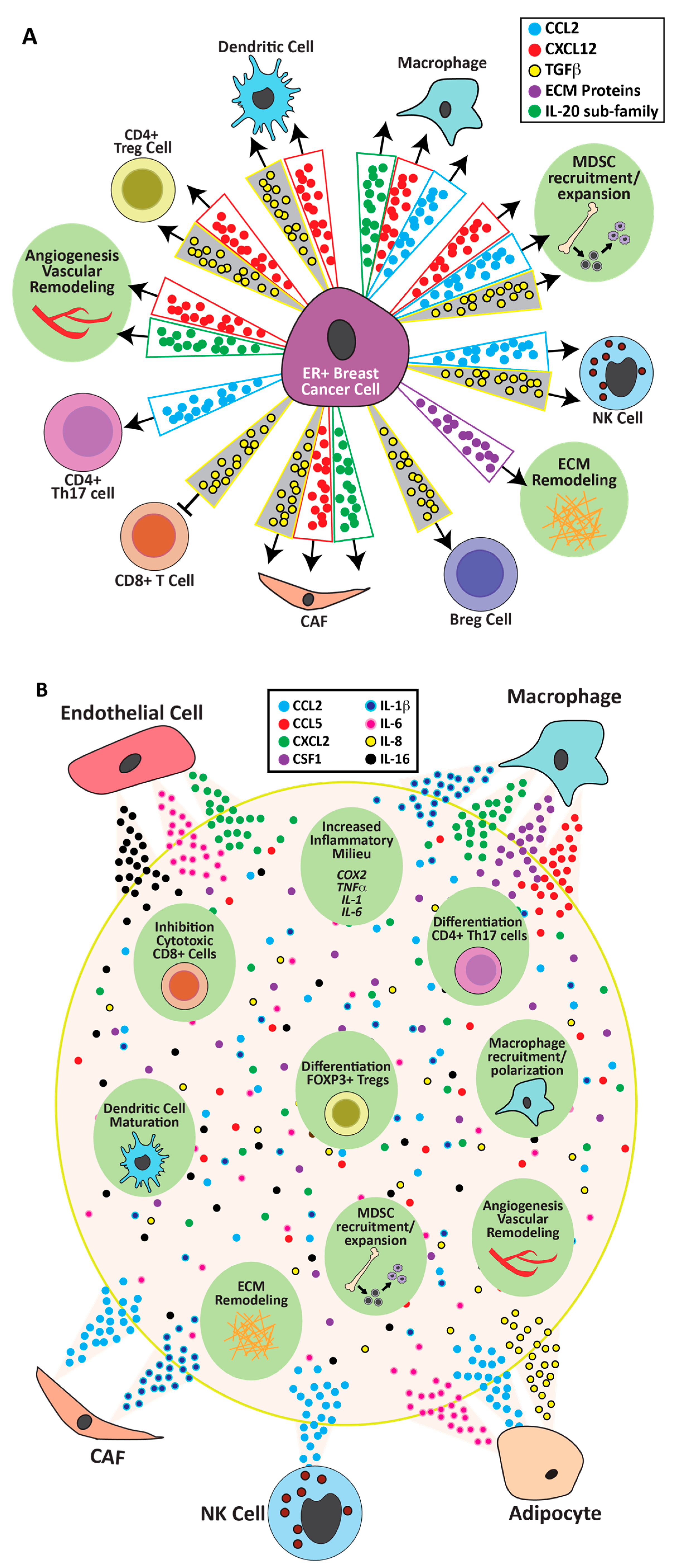 Cancers 13 03725 g002