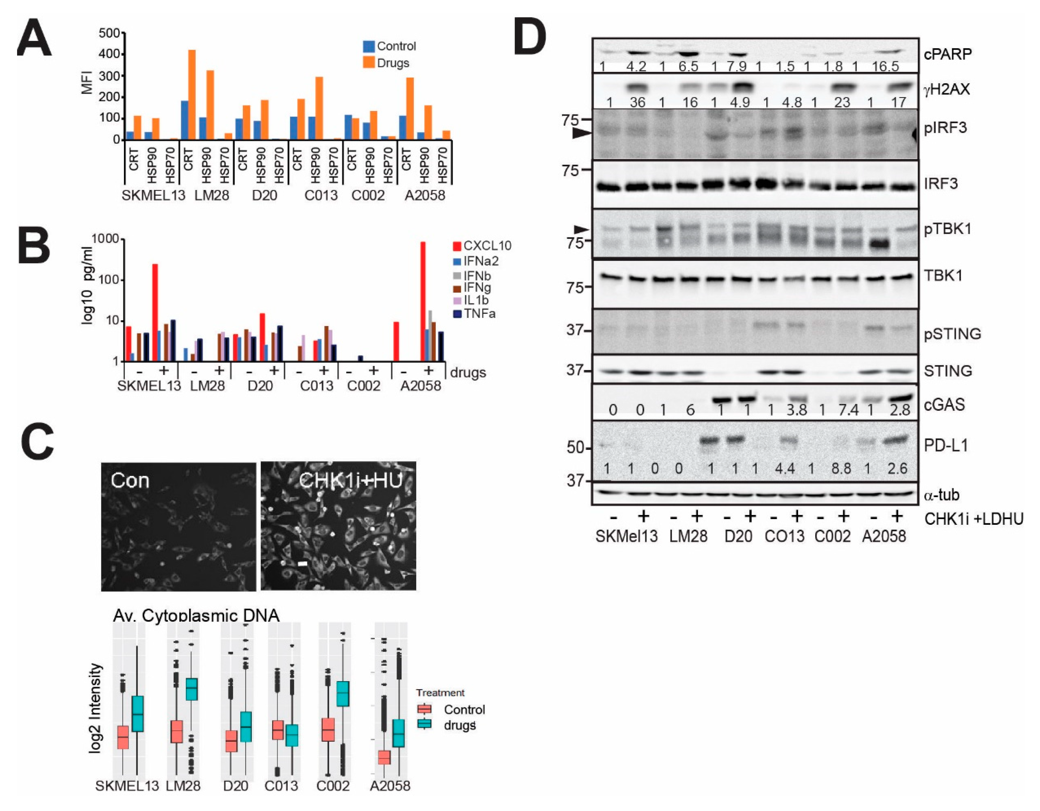 Cancers 13 03733 g001 550