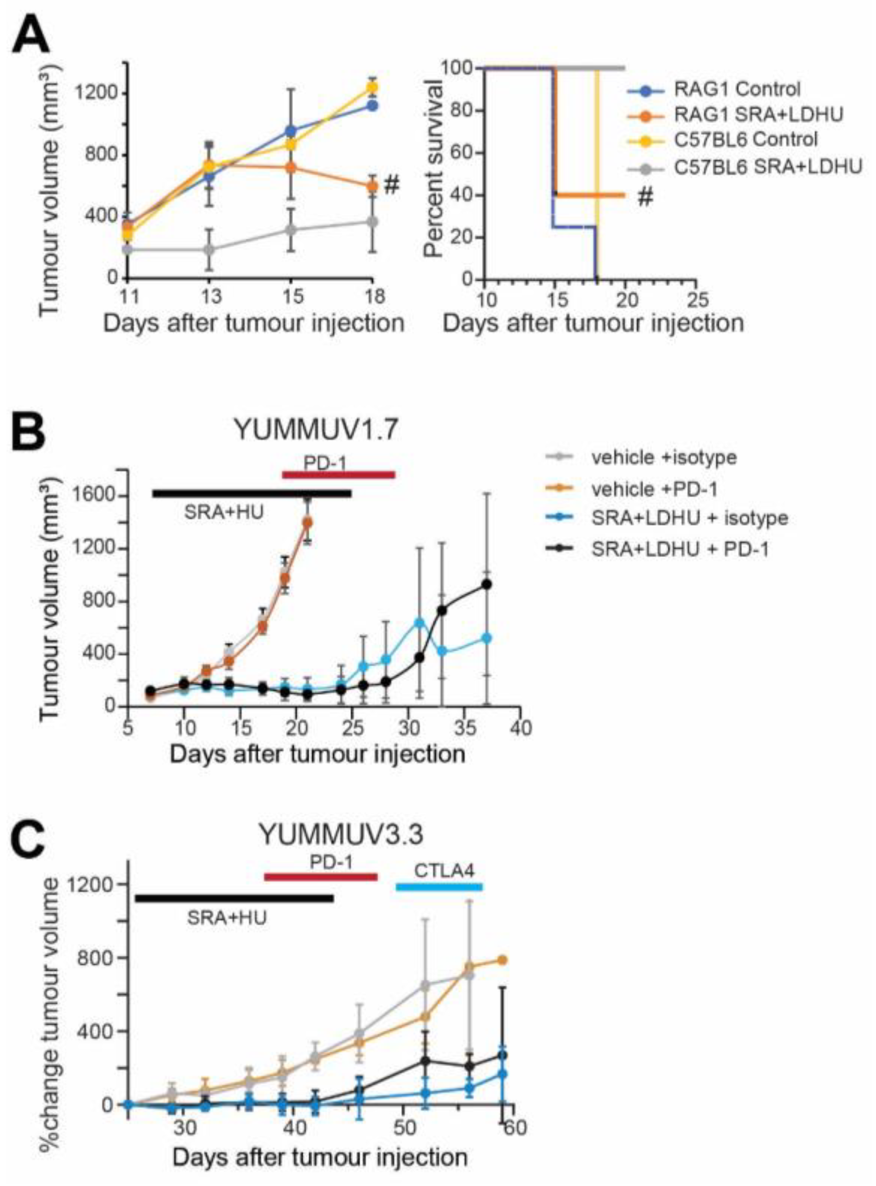 Cancers 13 03733 g006 550