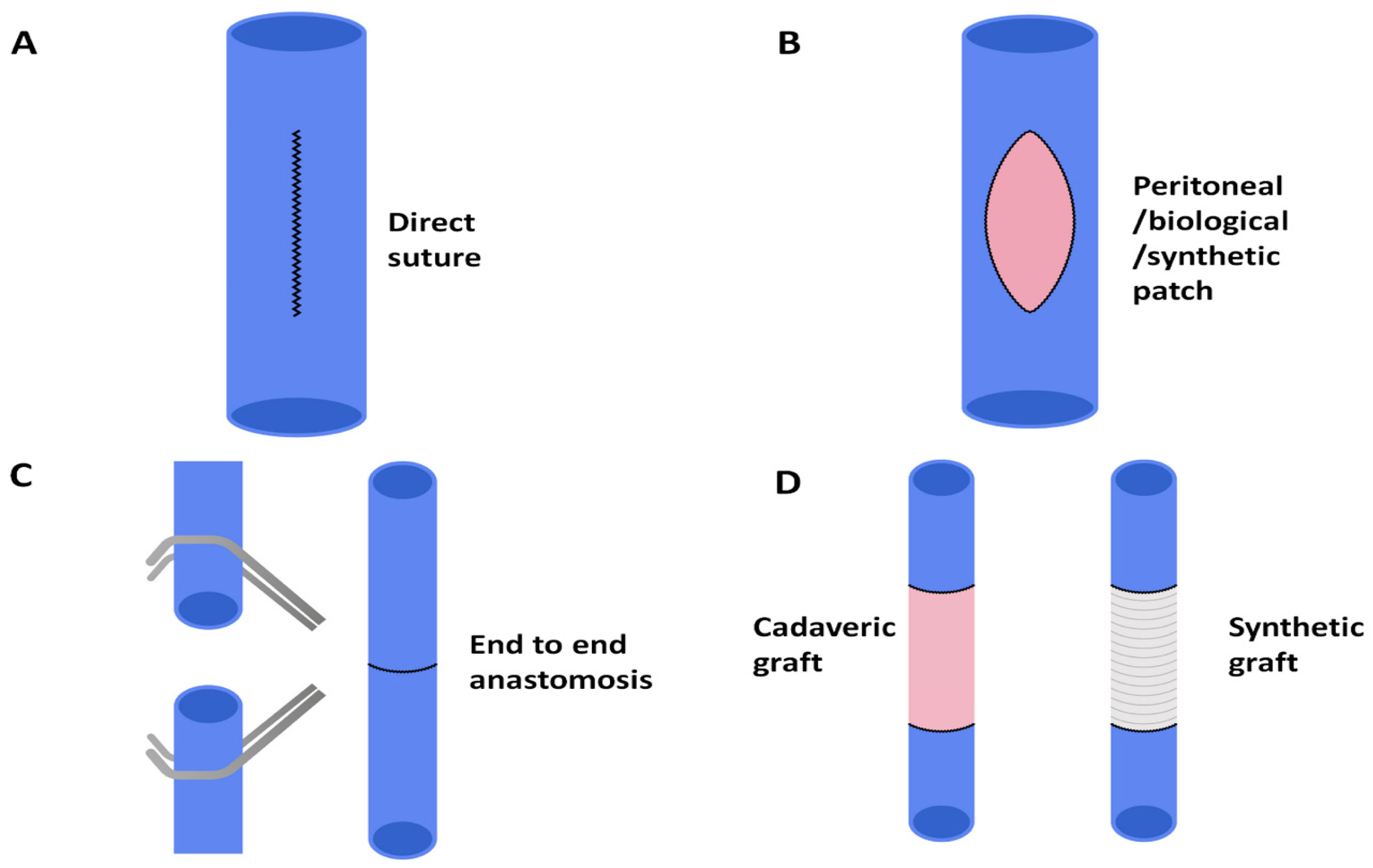 Cancers 13 03735 g002