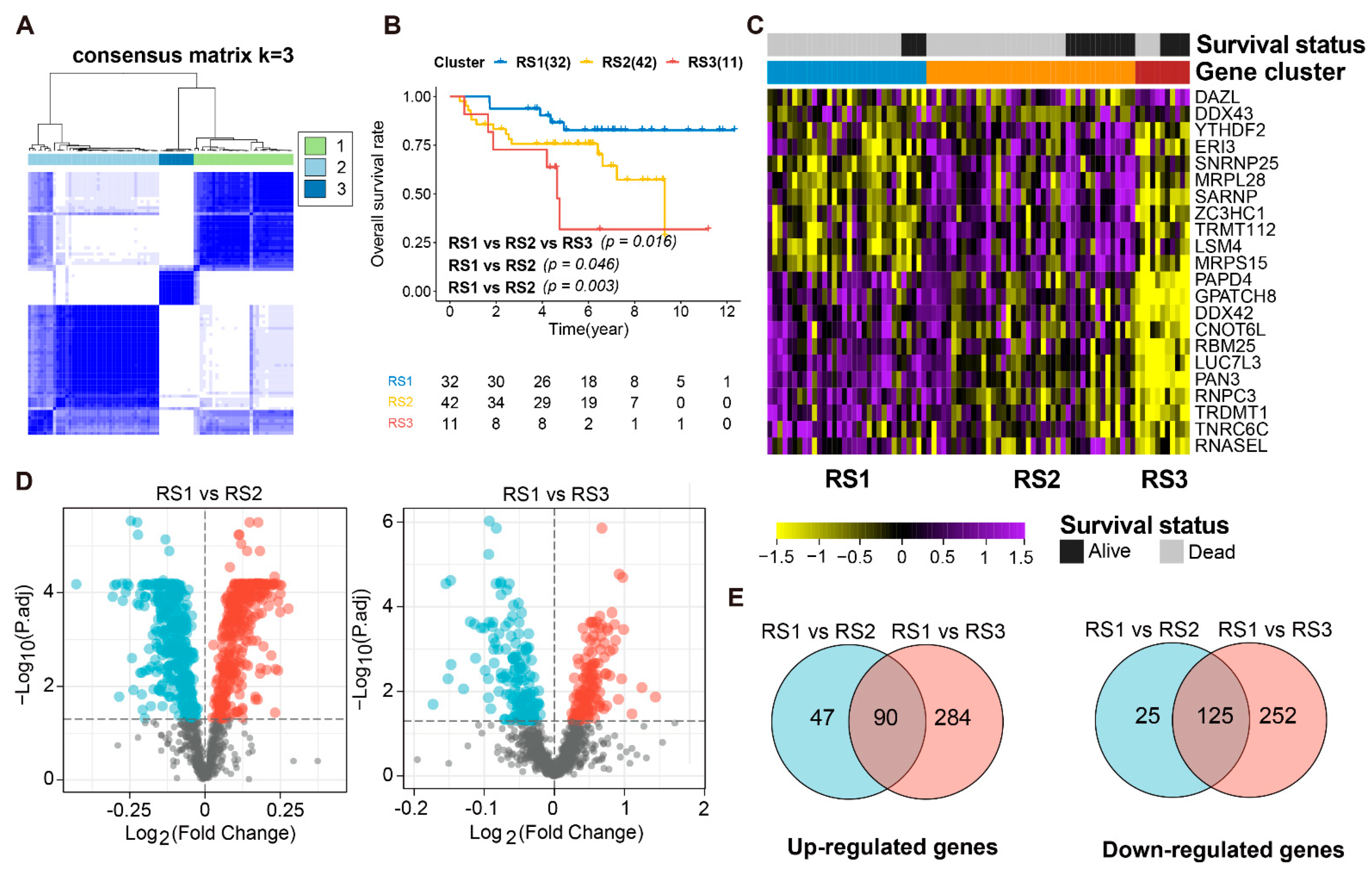 Cancers 13 03736 g001 Cancers 13 03736 g001
