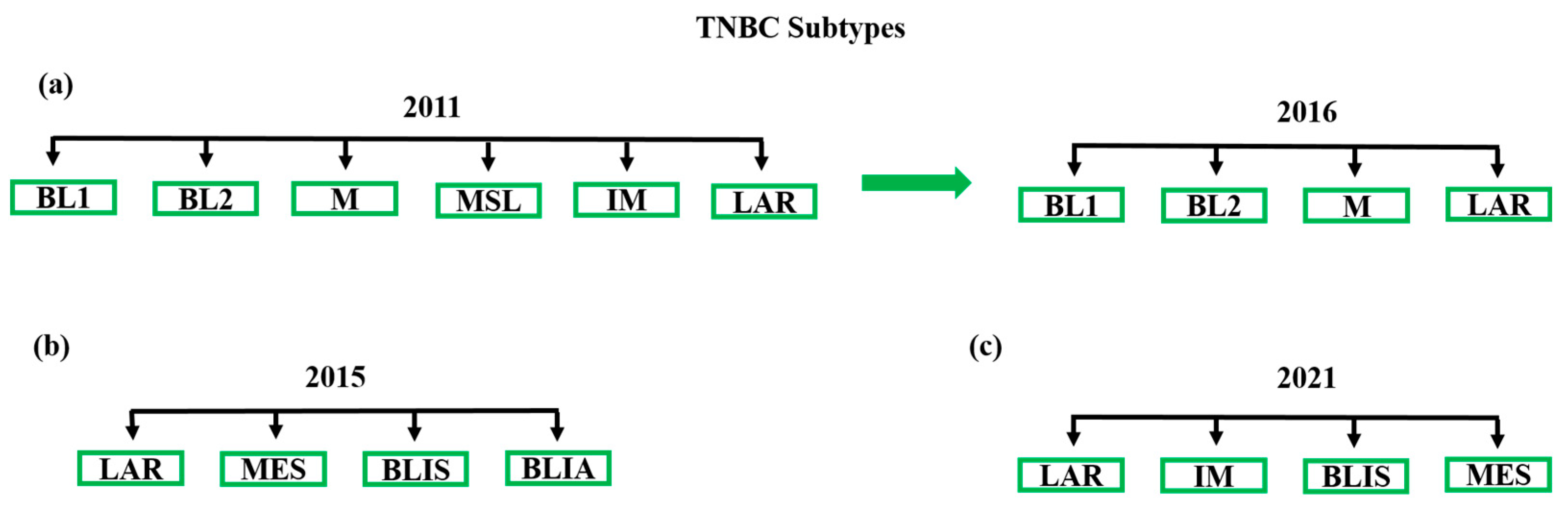 Cancers 13 03739 g001 Cancers 13 03739 g001
