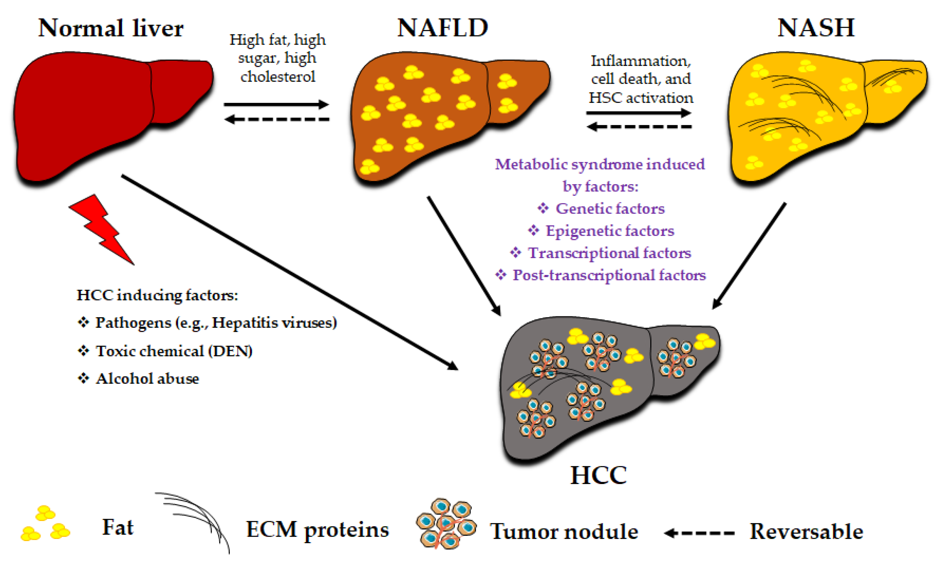 Cancers 13 03740 g001 Cancers 13 03740 g001