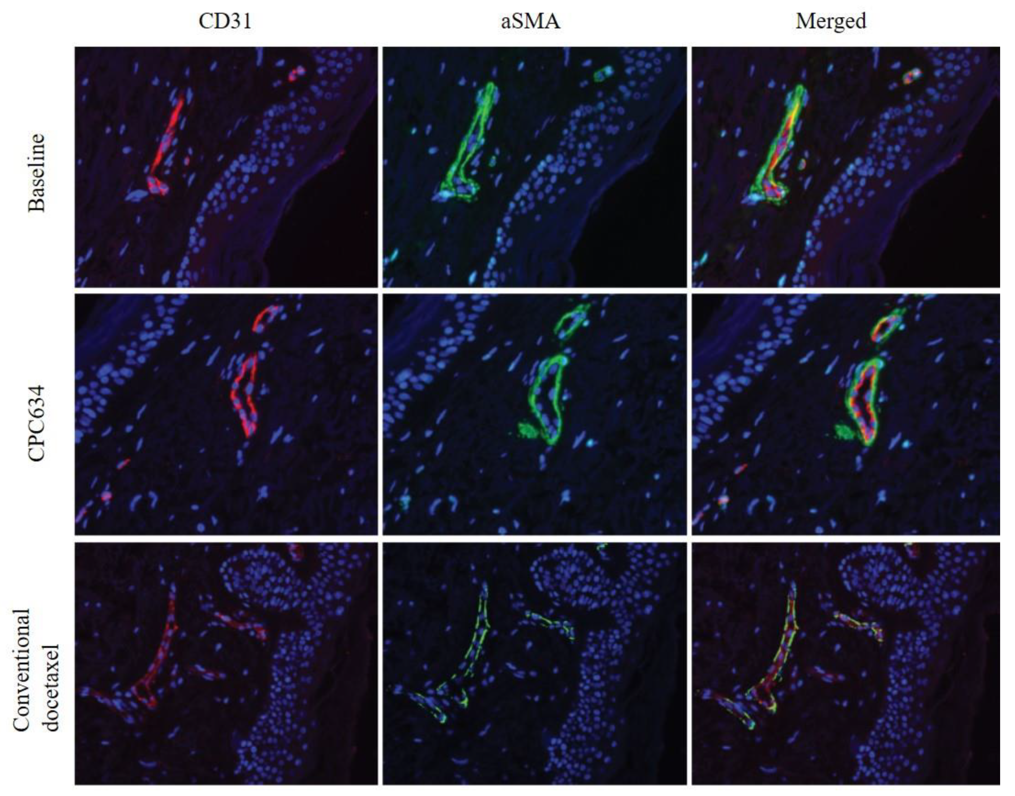 Cancers 13 03741 g003