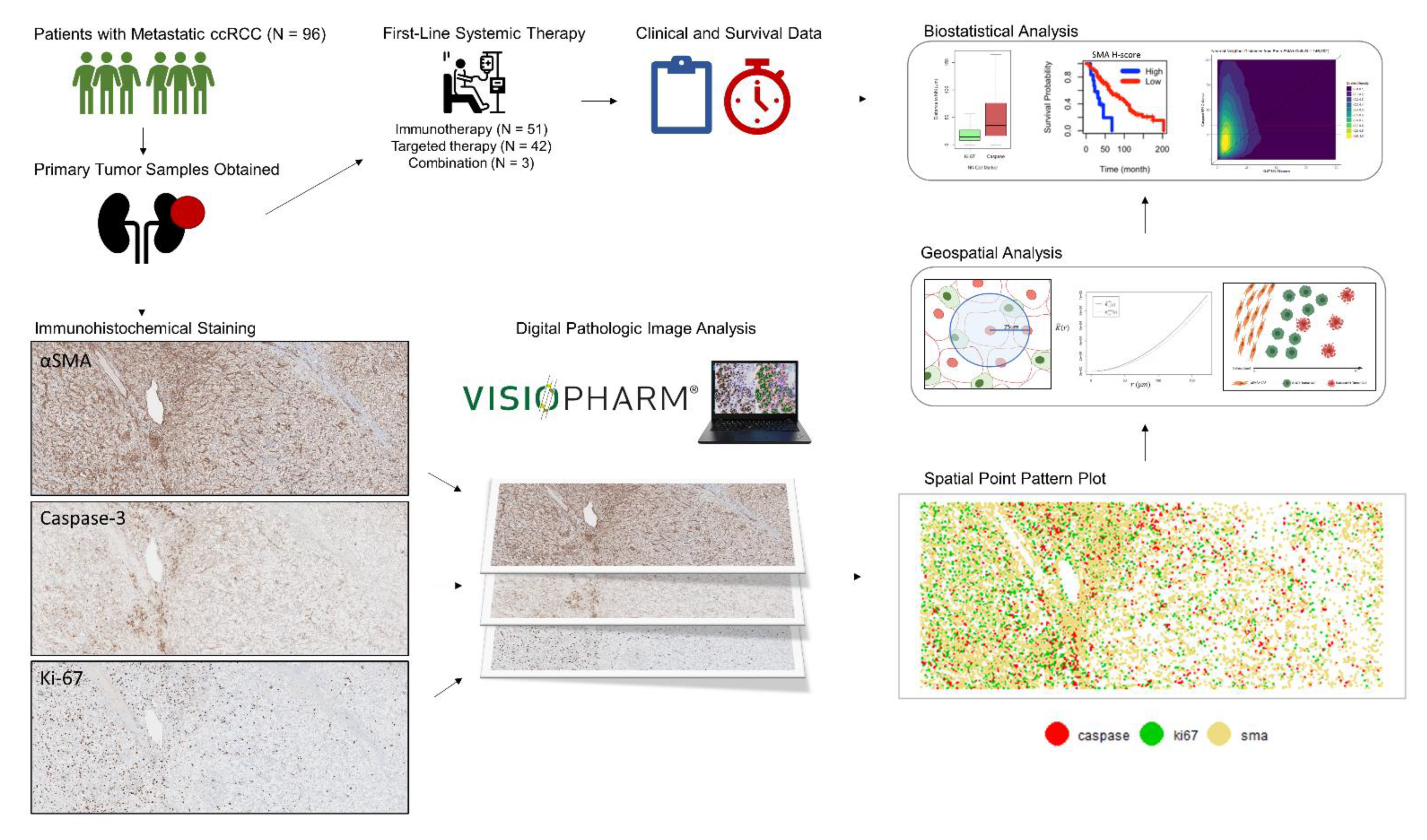 Cancers 13 03743 g001 Cancers 13 03743 g001