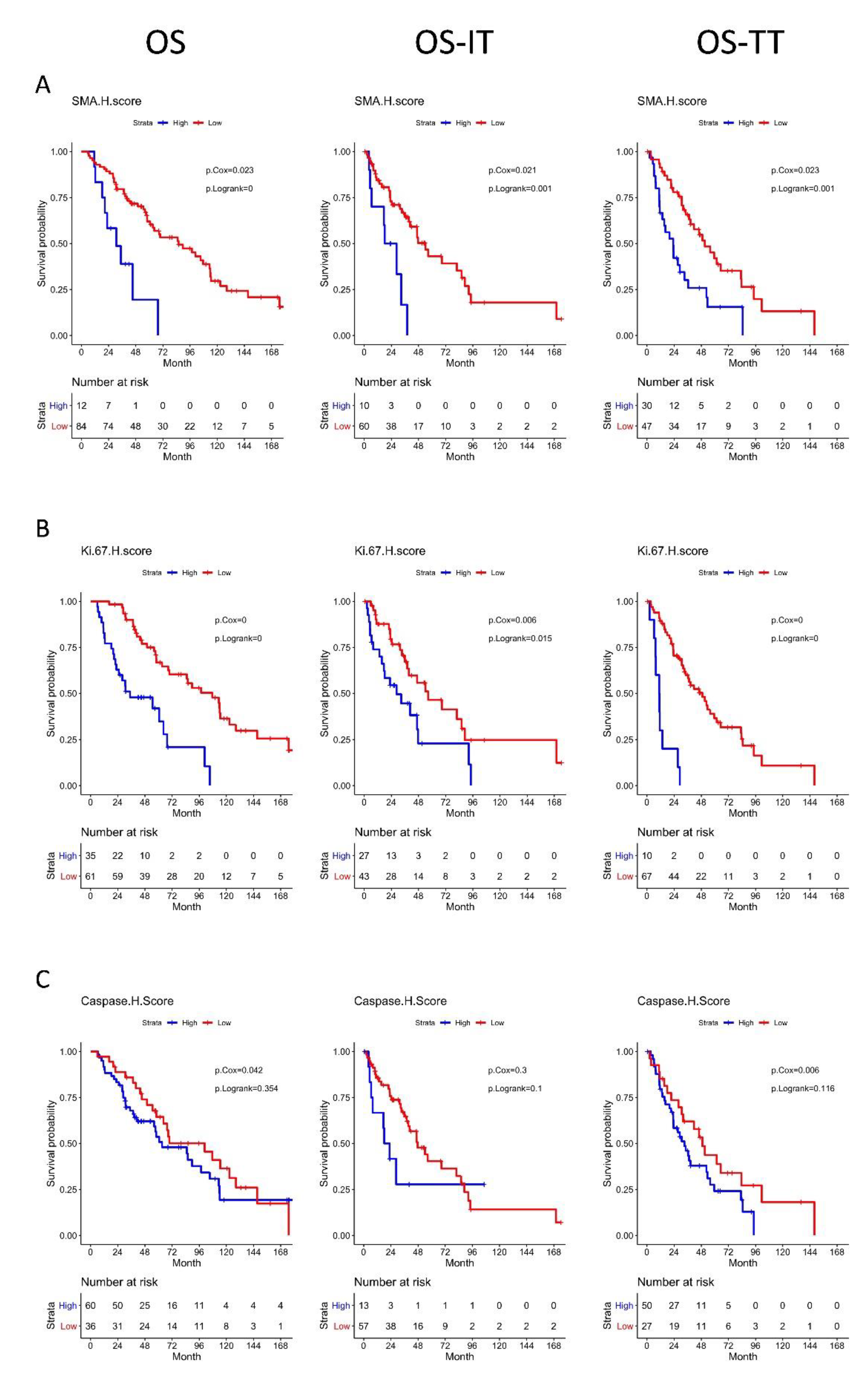 Cancers 13 03743 g004 Cancers 13 03743 g004