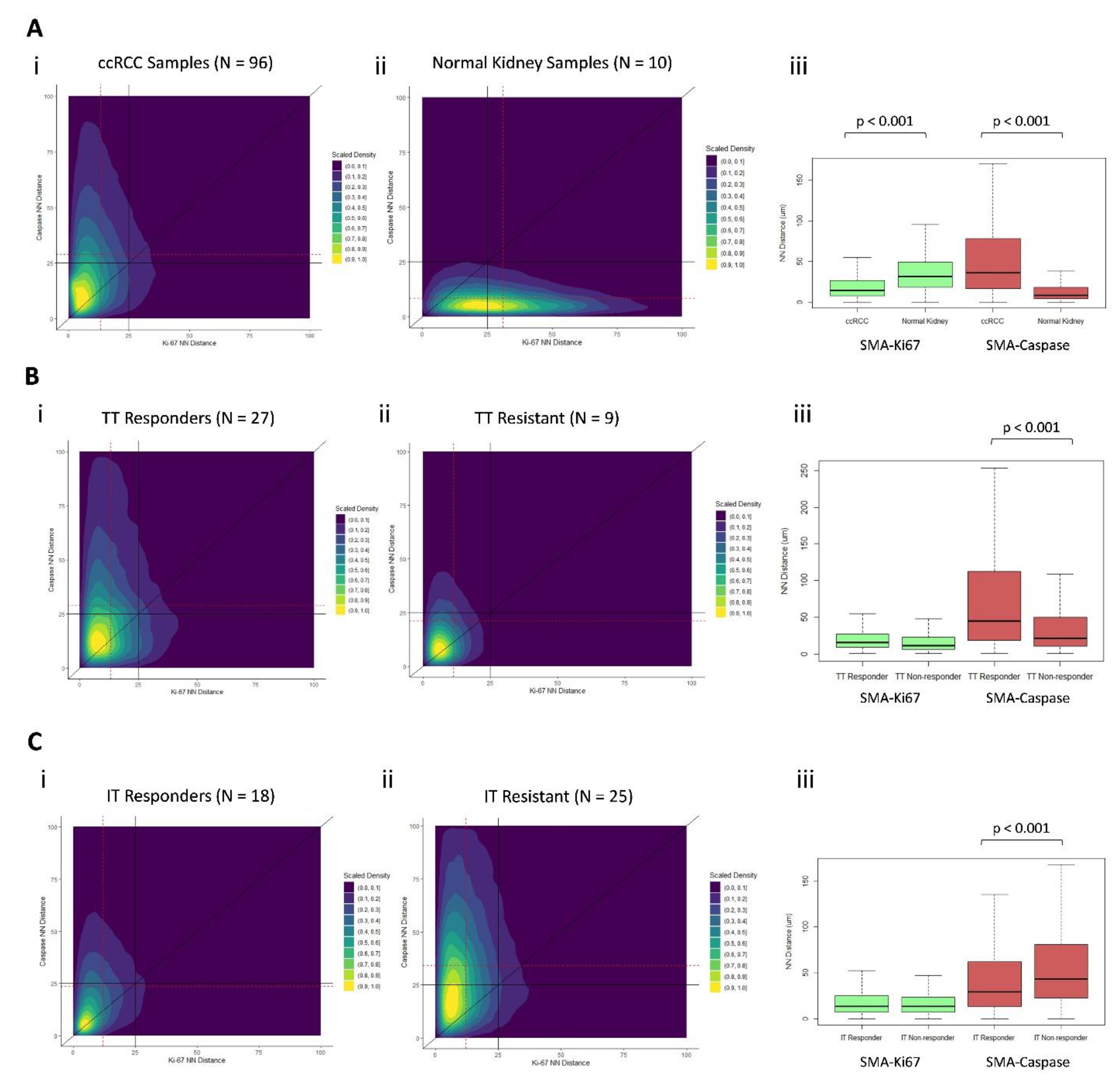 Cancers 13 03743 g006 Cancers 13 03743 g006