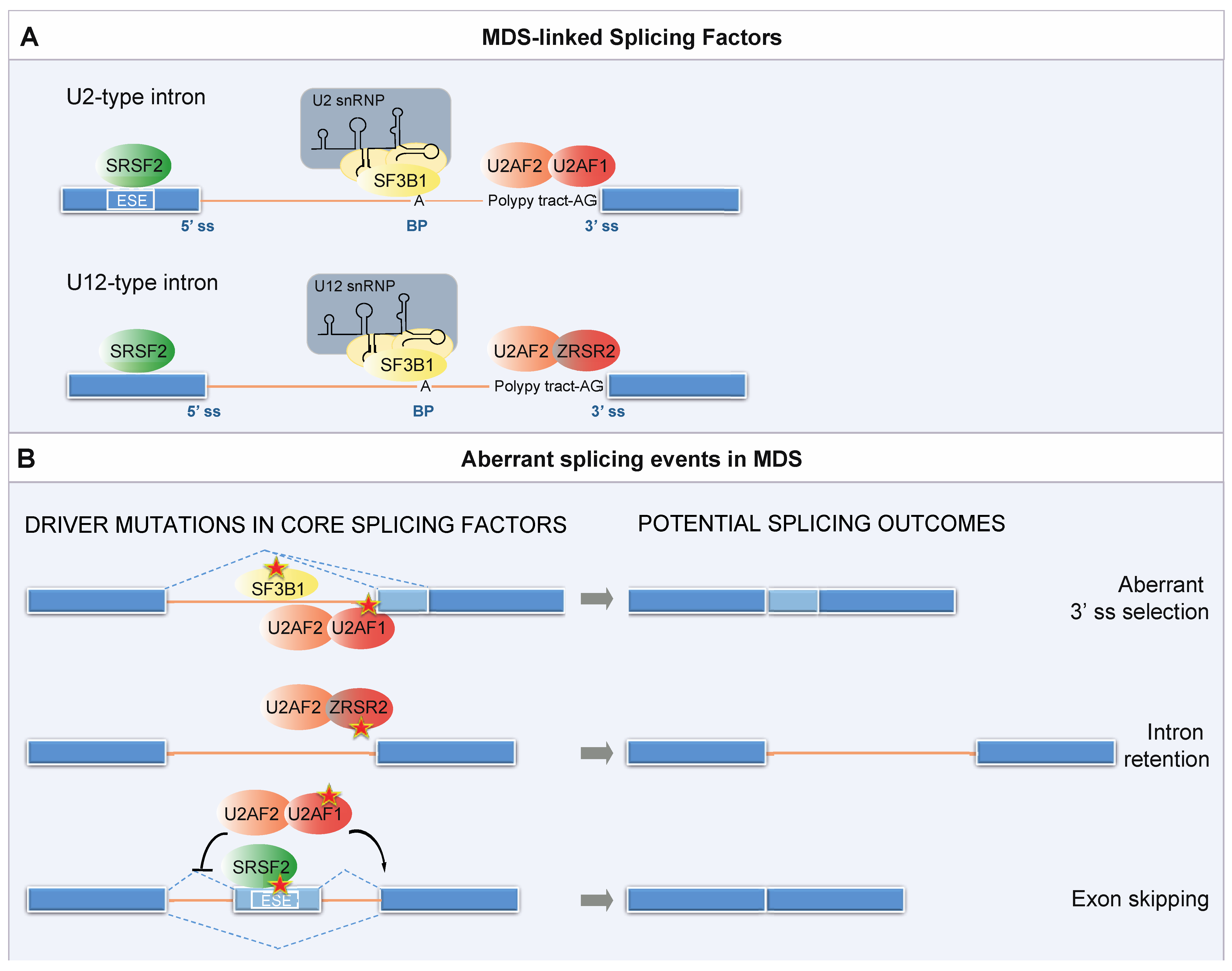 Cancers 13 03753 g002 Cancers 13 03753 g002