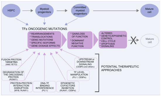 Transcription Factors, R-Loops and Deubiquitinating Enzymes