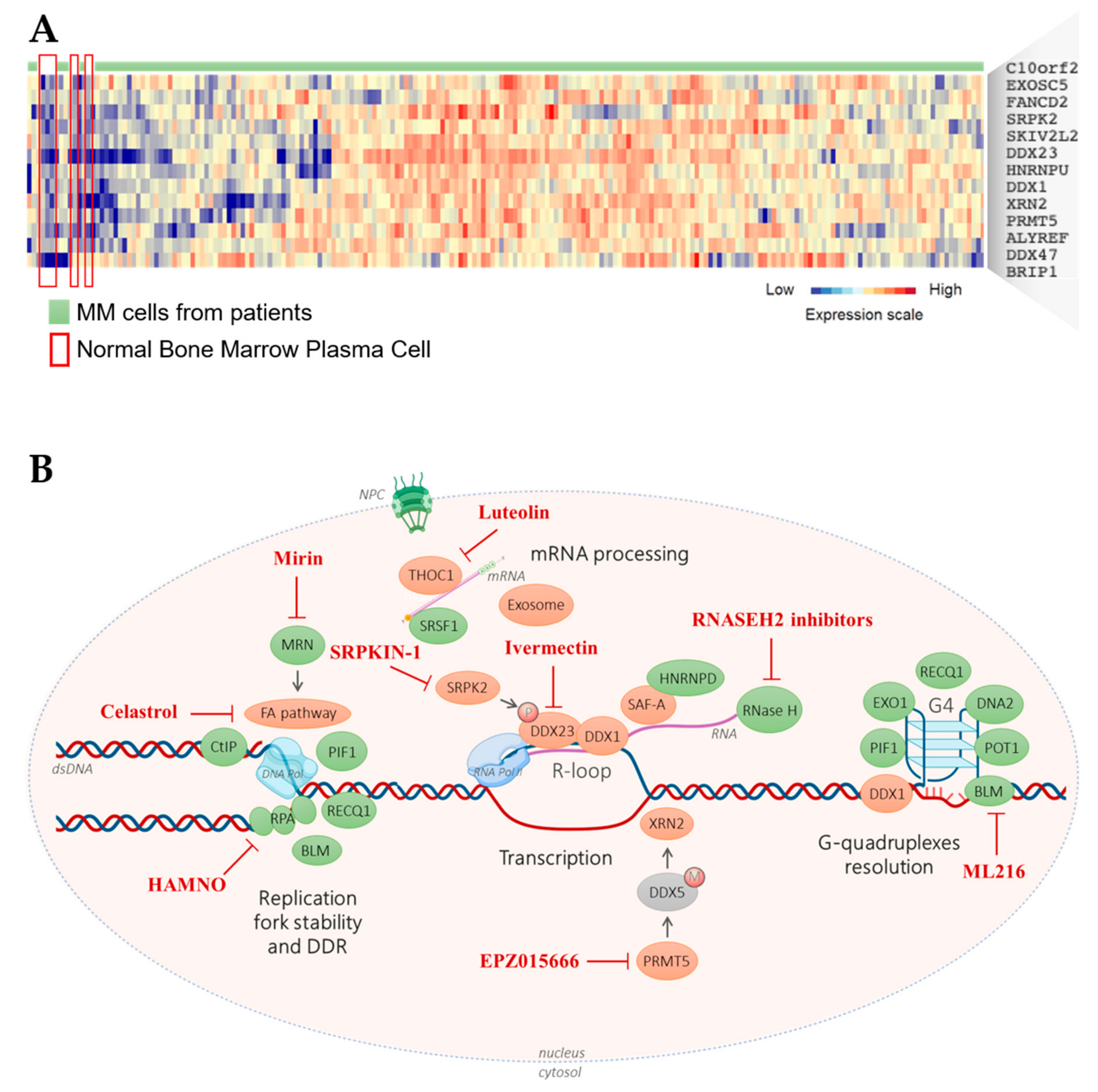Cancers 13 03755 g003 550