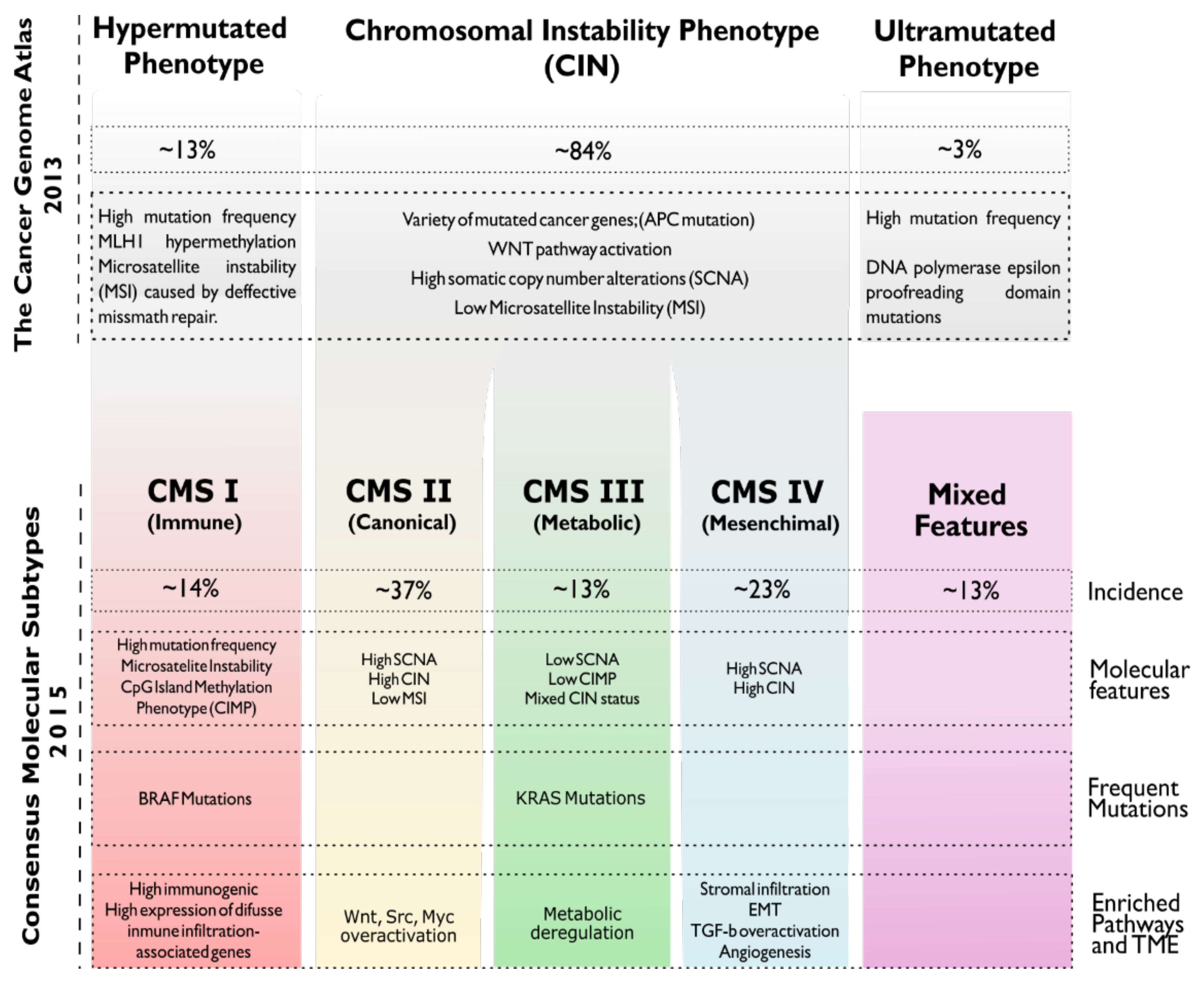 Cancers 13 03757 g001 Cancers 13 03757 g001