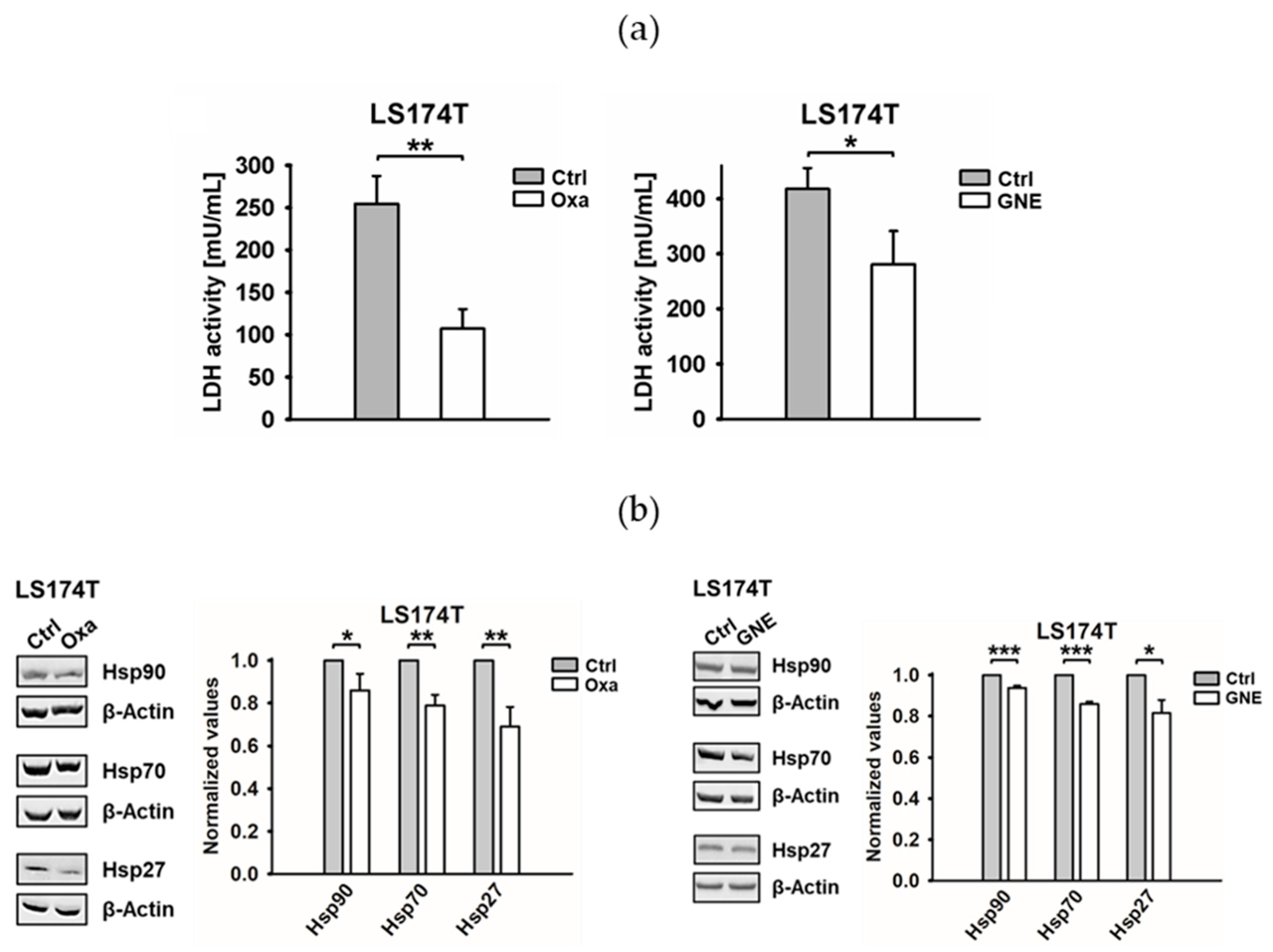 Cancers 13 03762 g001 550