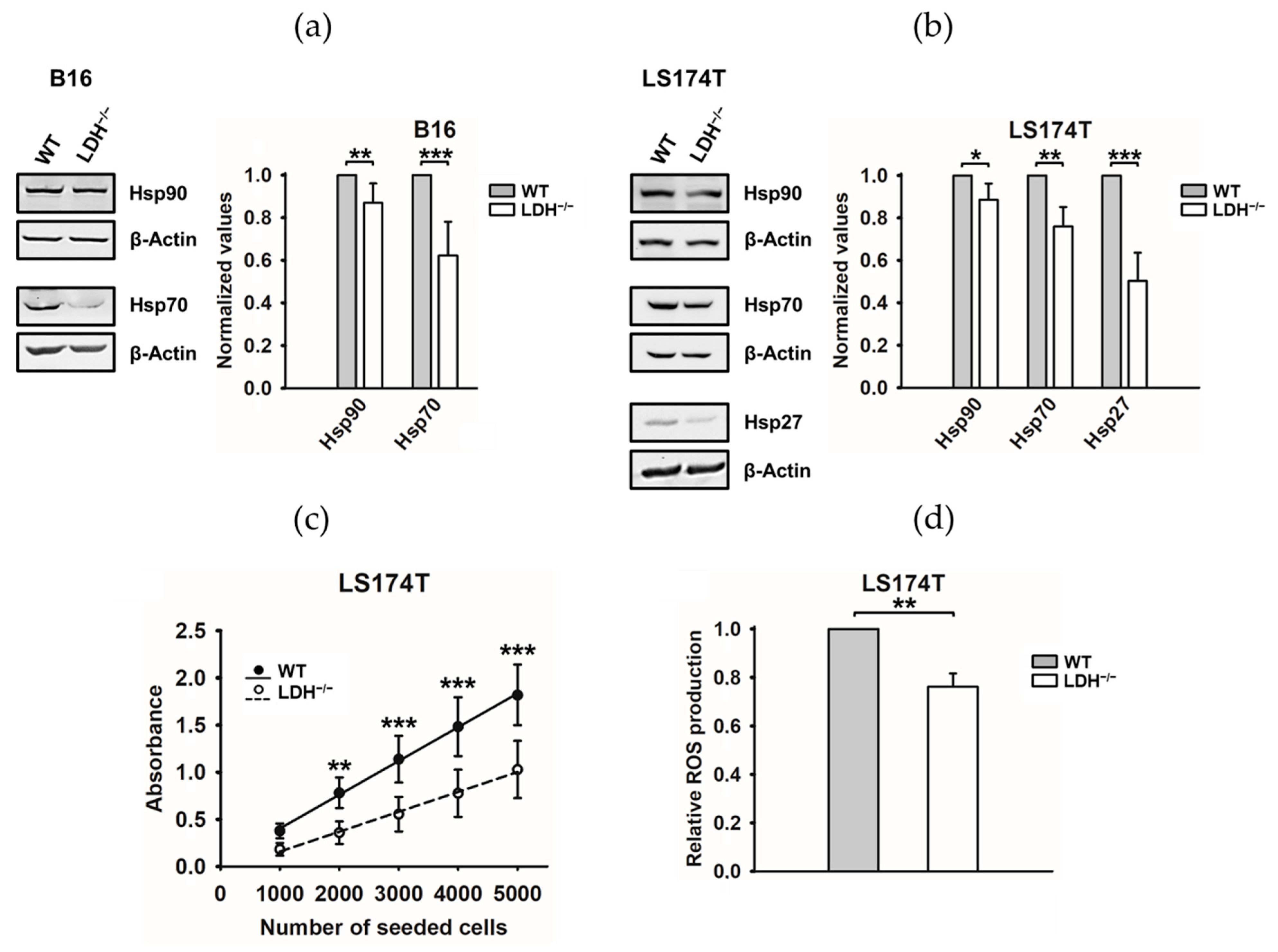 Cancers 13 03762 g003 550