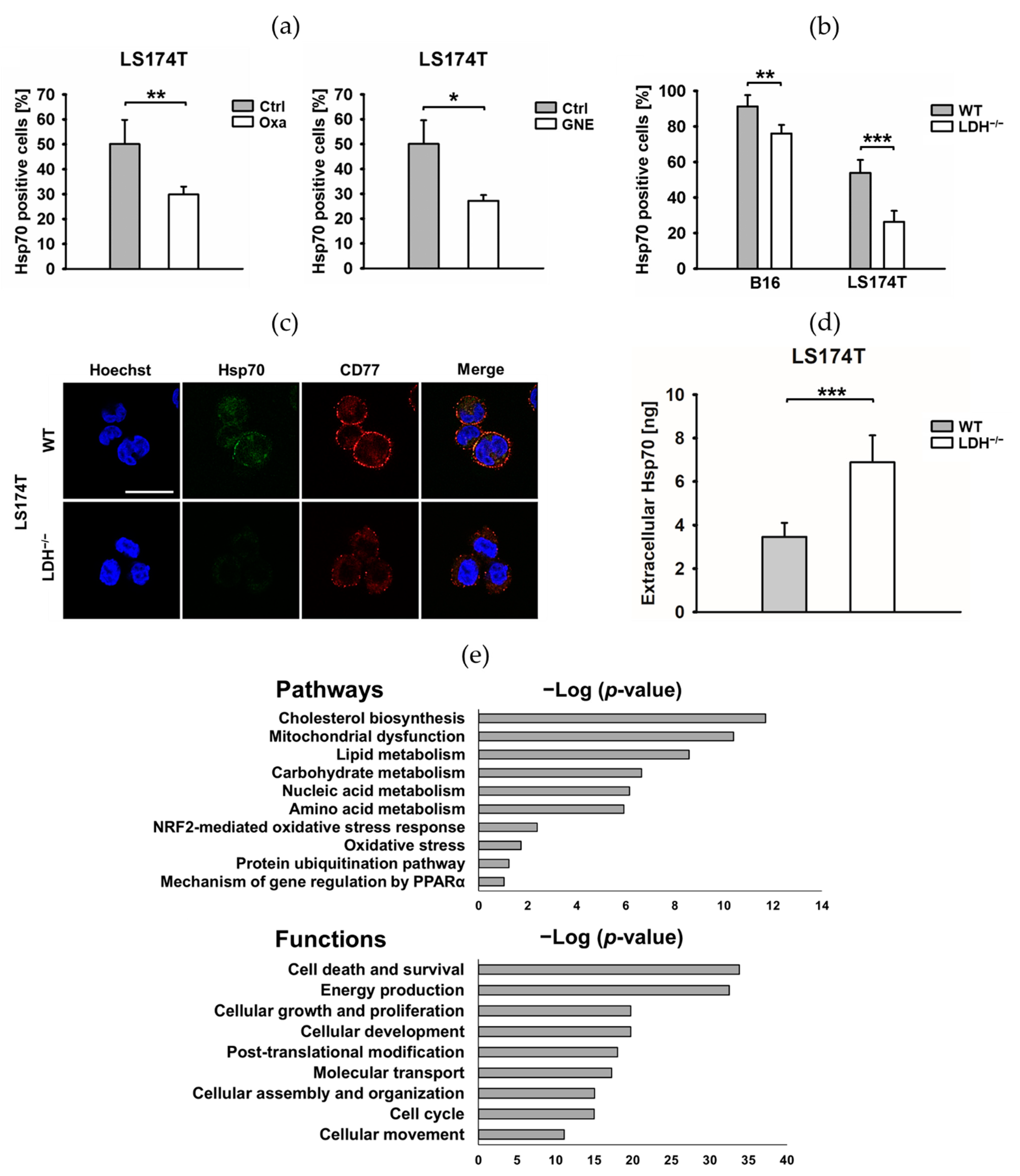 Cancers 13 03762 g004 550