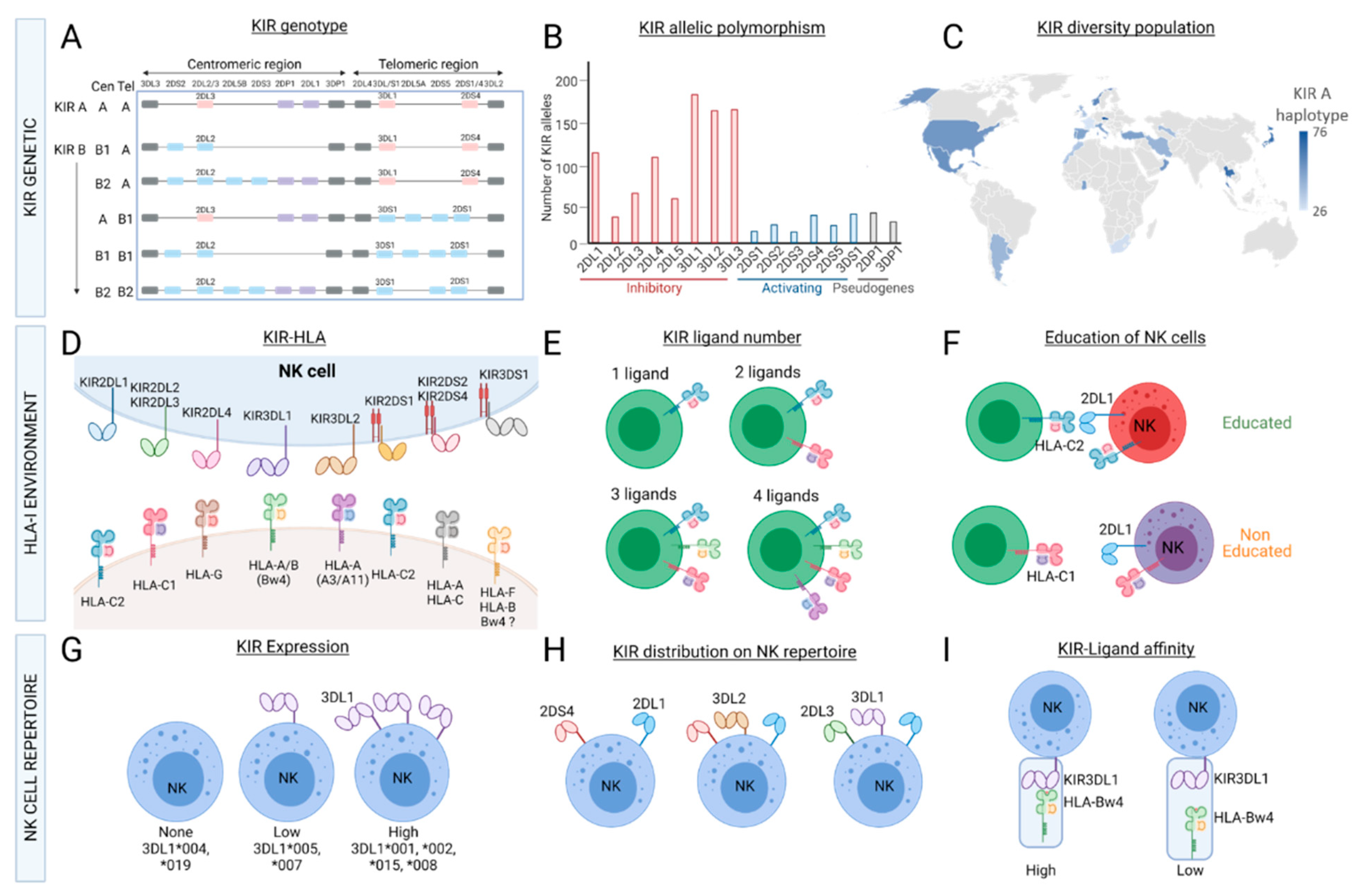 Cancers 13 03767 g002