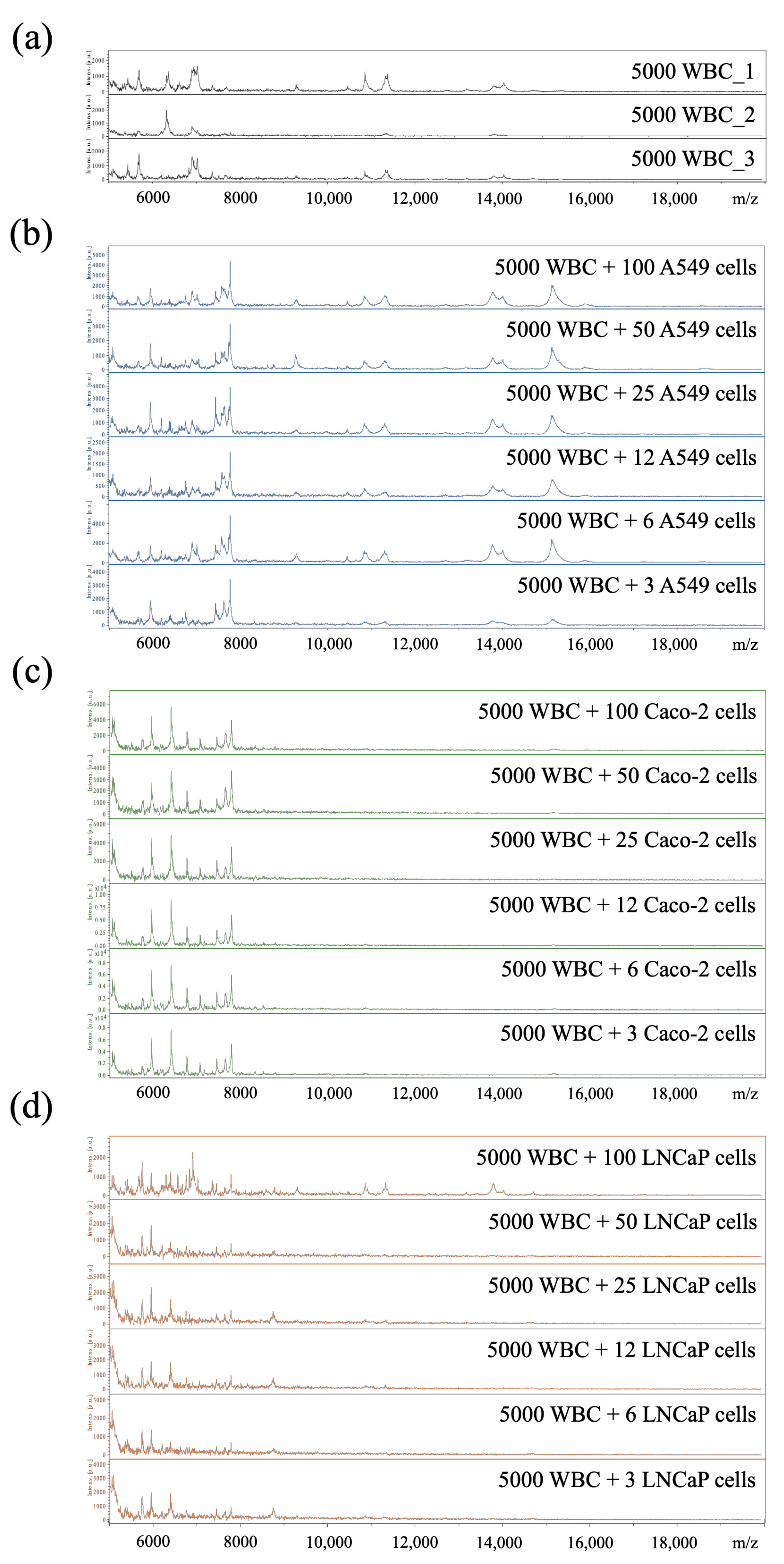 Cancers 13 03775 g004 550