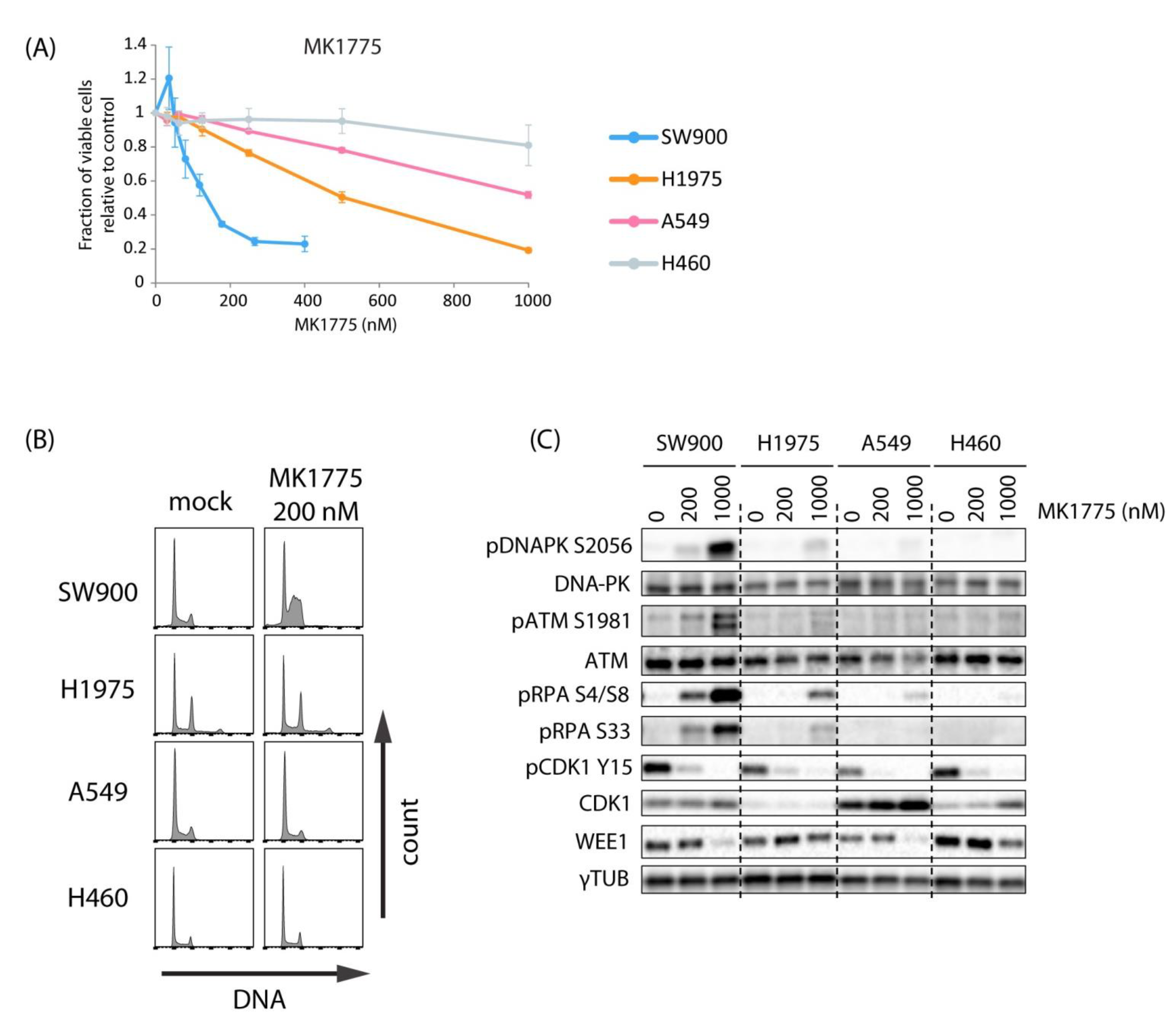 Cancers 13 03790 g002 550