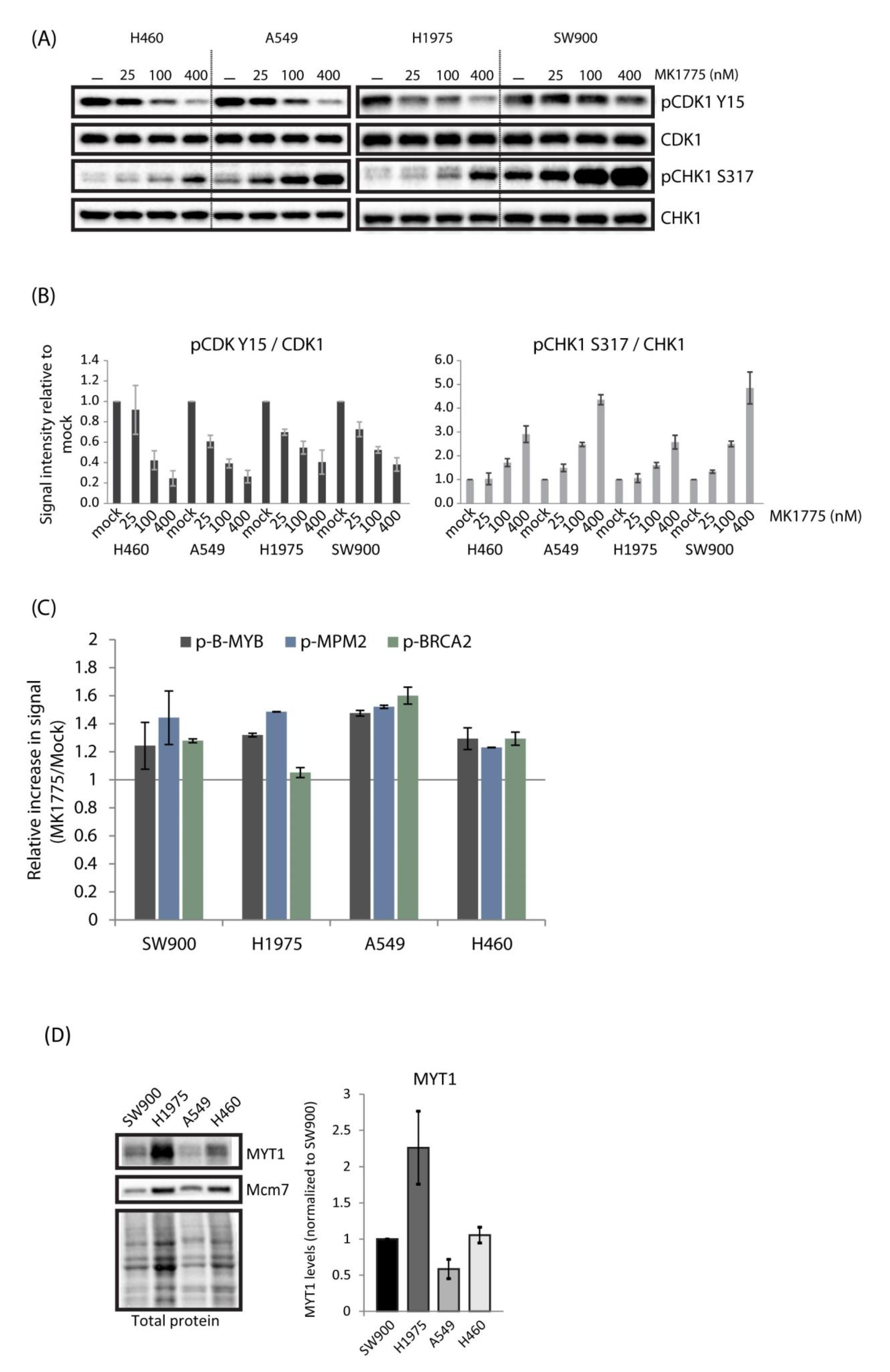 Cancers 13 03790 g003 550