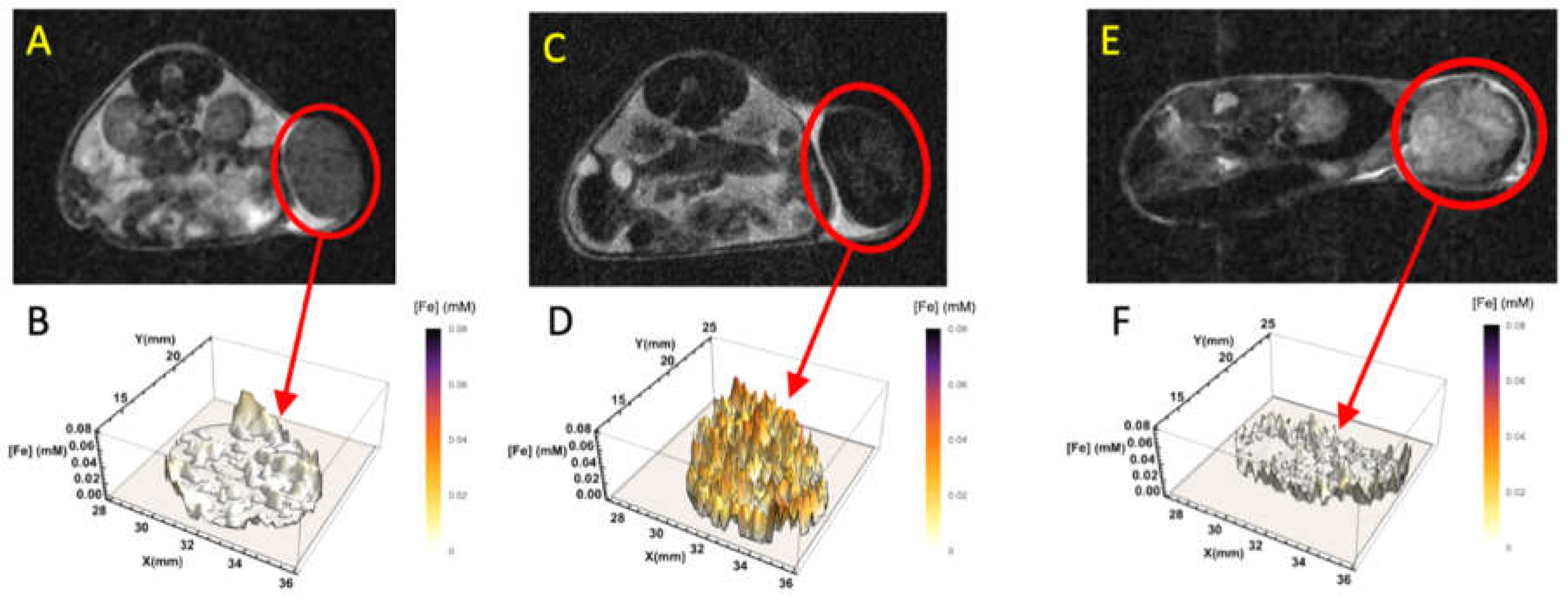 Cancers 13 03802 g007 Cancers 13 03802 g007