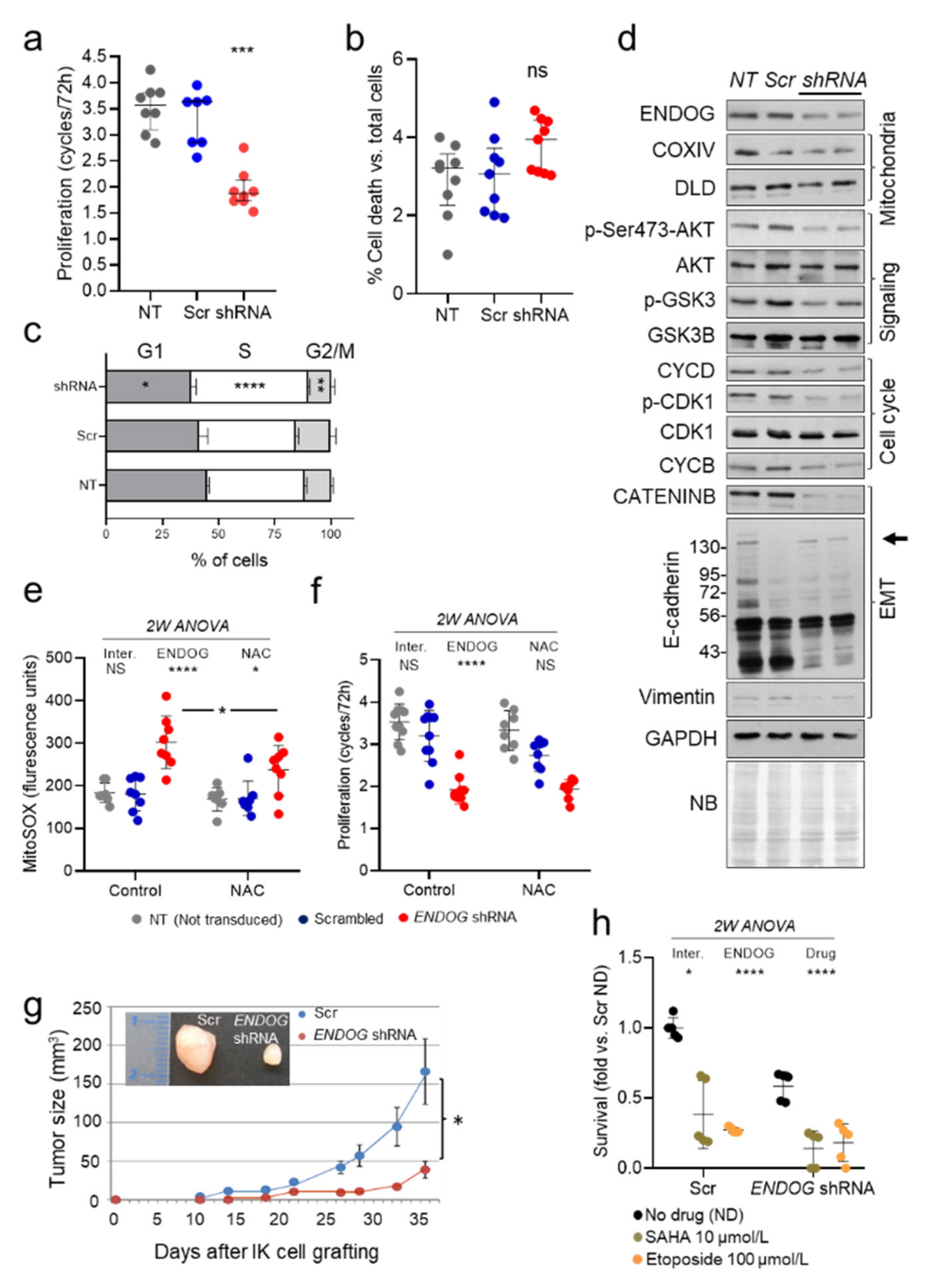 Cancers 13 03803 g001