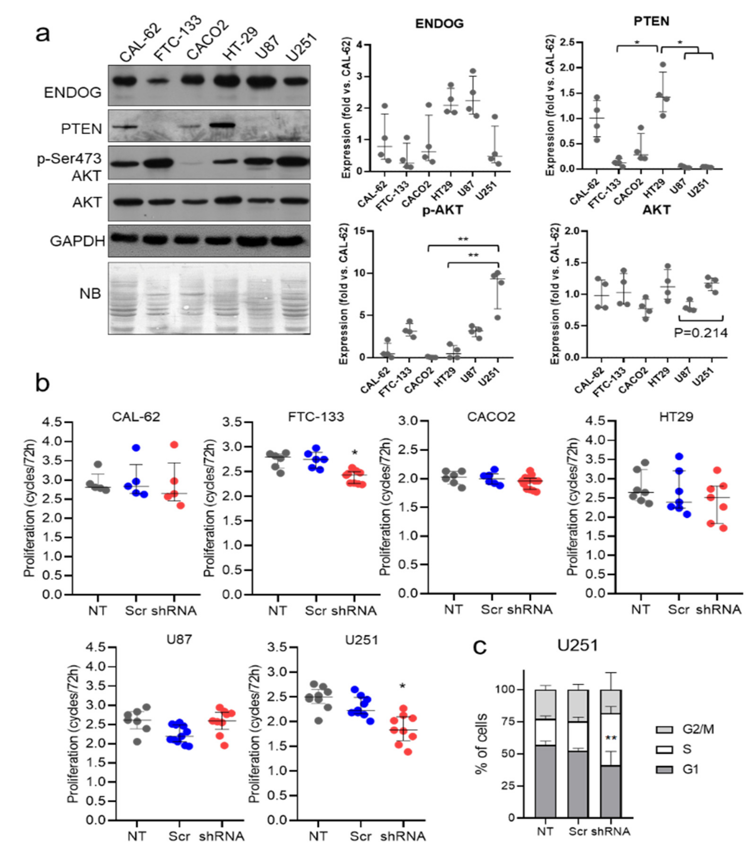 Cancers 13 03803 g004