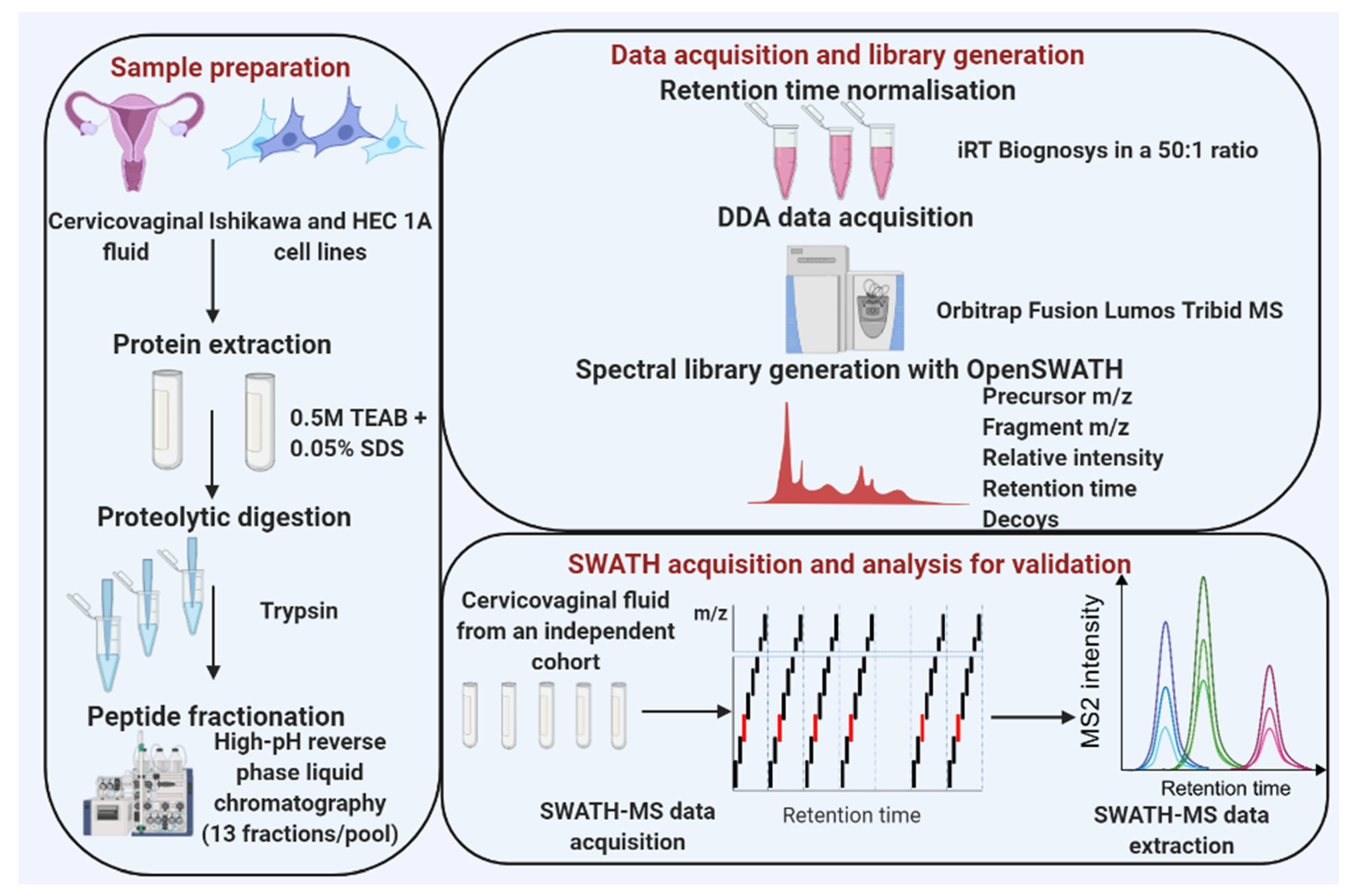 Cancers 13 03804 g001