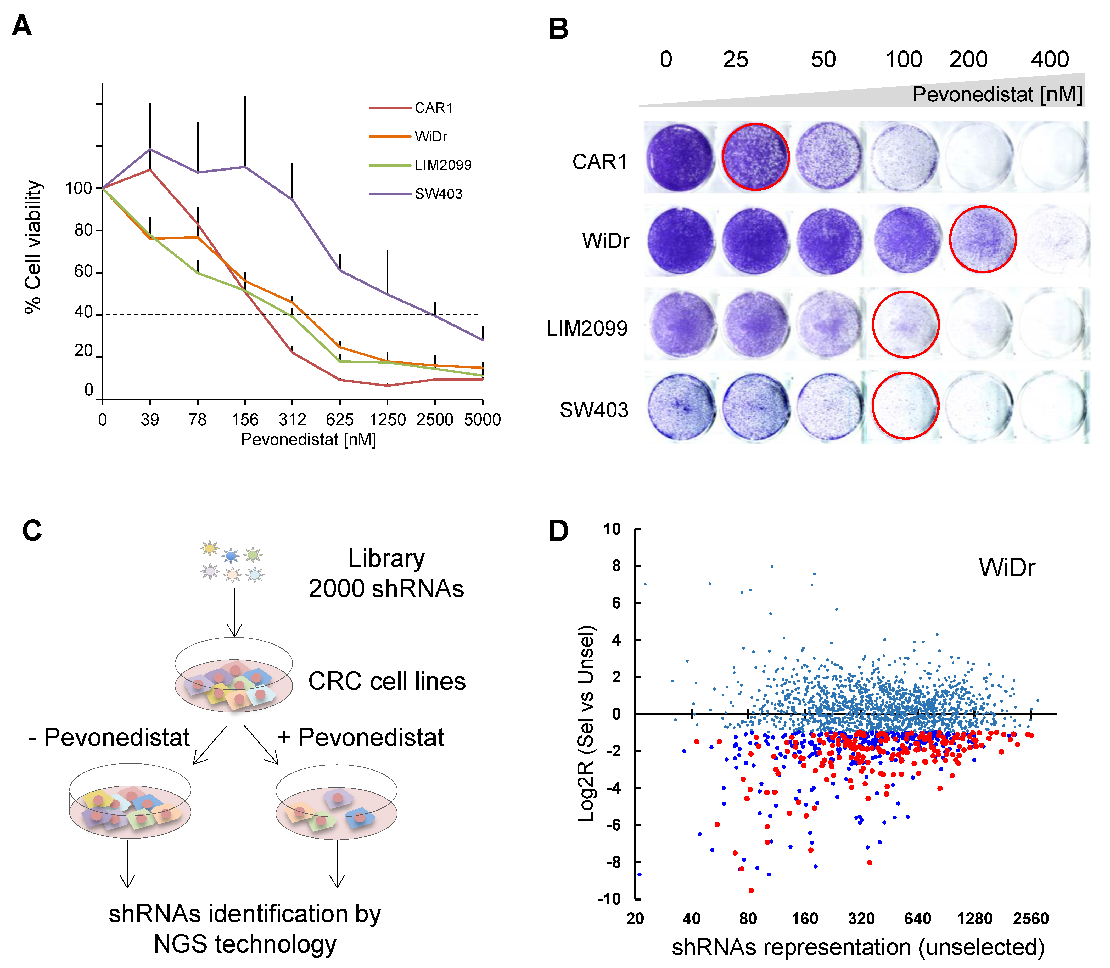 Cancers 13 03805 g001 550