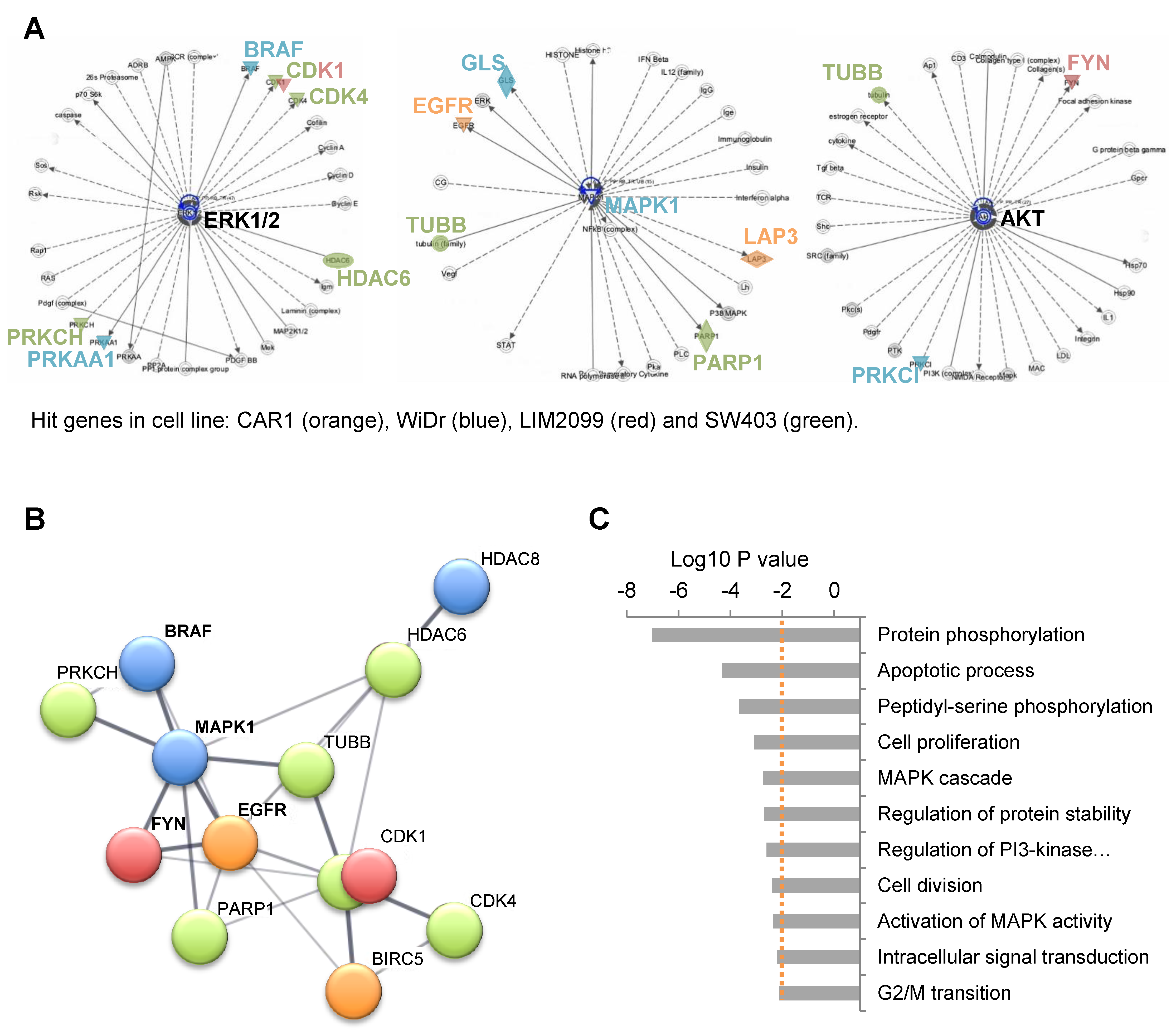Cancers 13 03805 g002 550