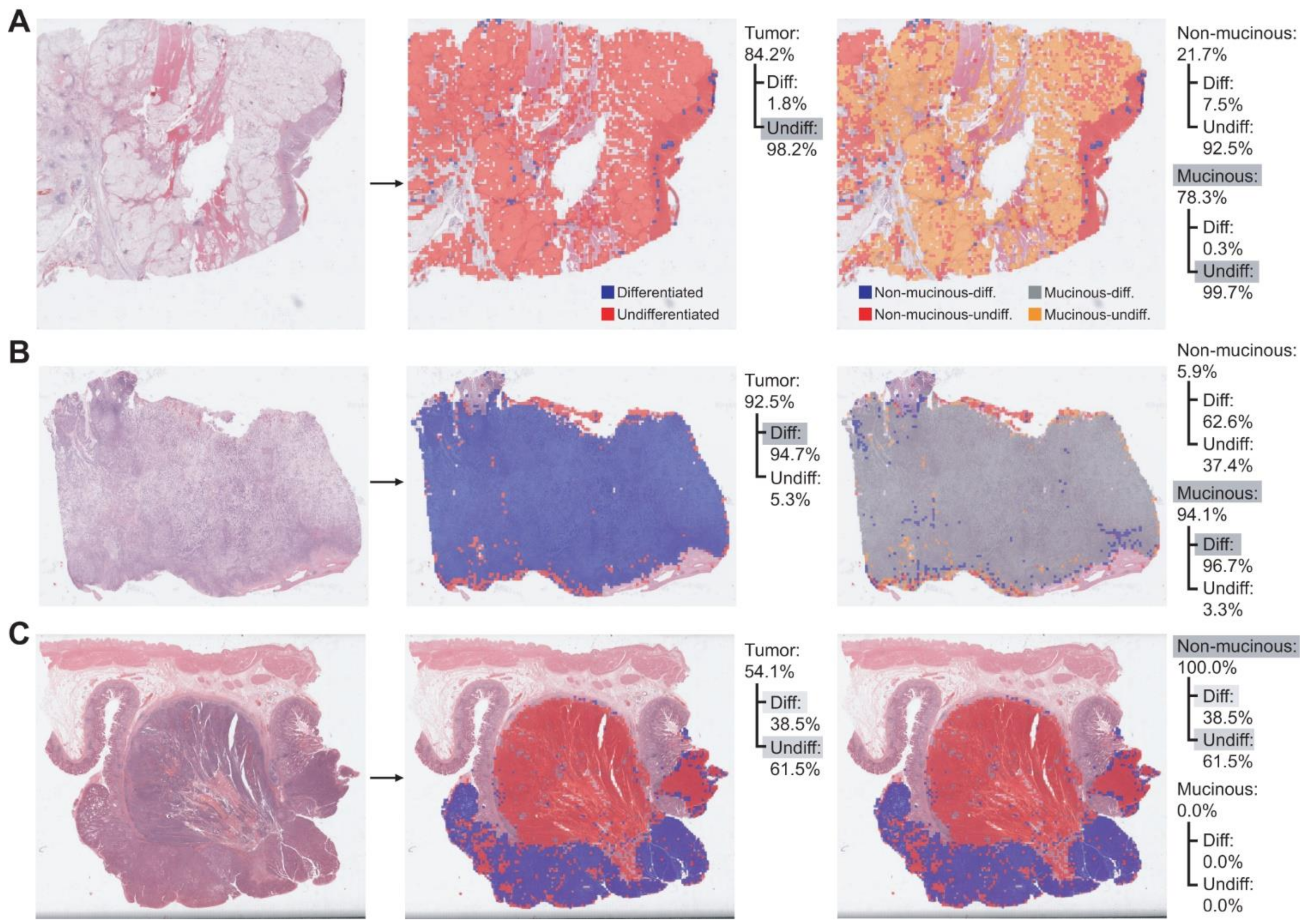 Cancers 13 03811 g004