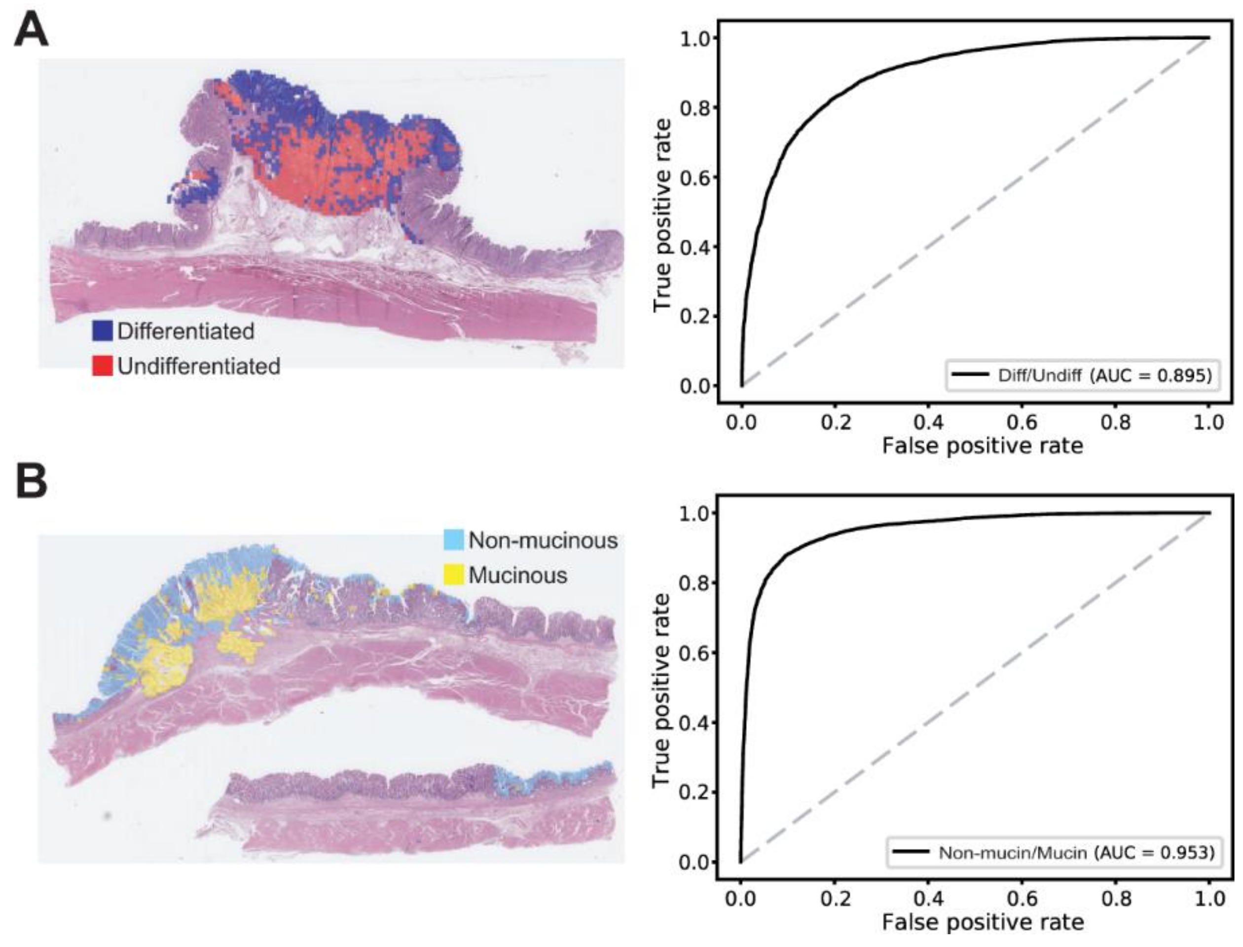 Cancers 13 03811 g005