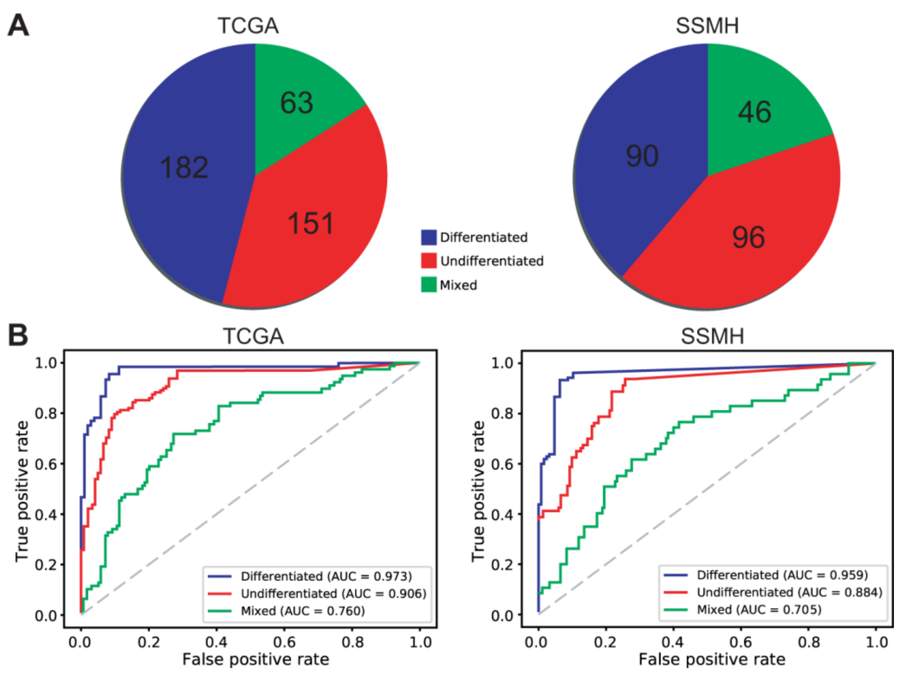 Cancers 13 03811 g006
