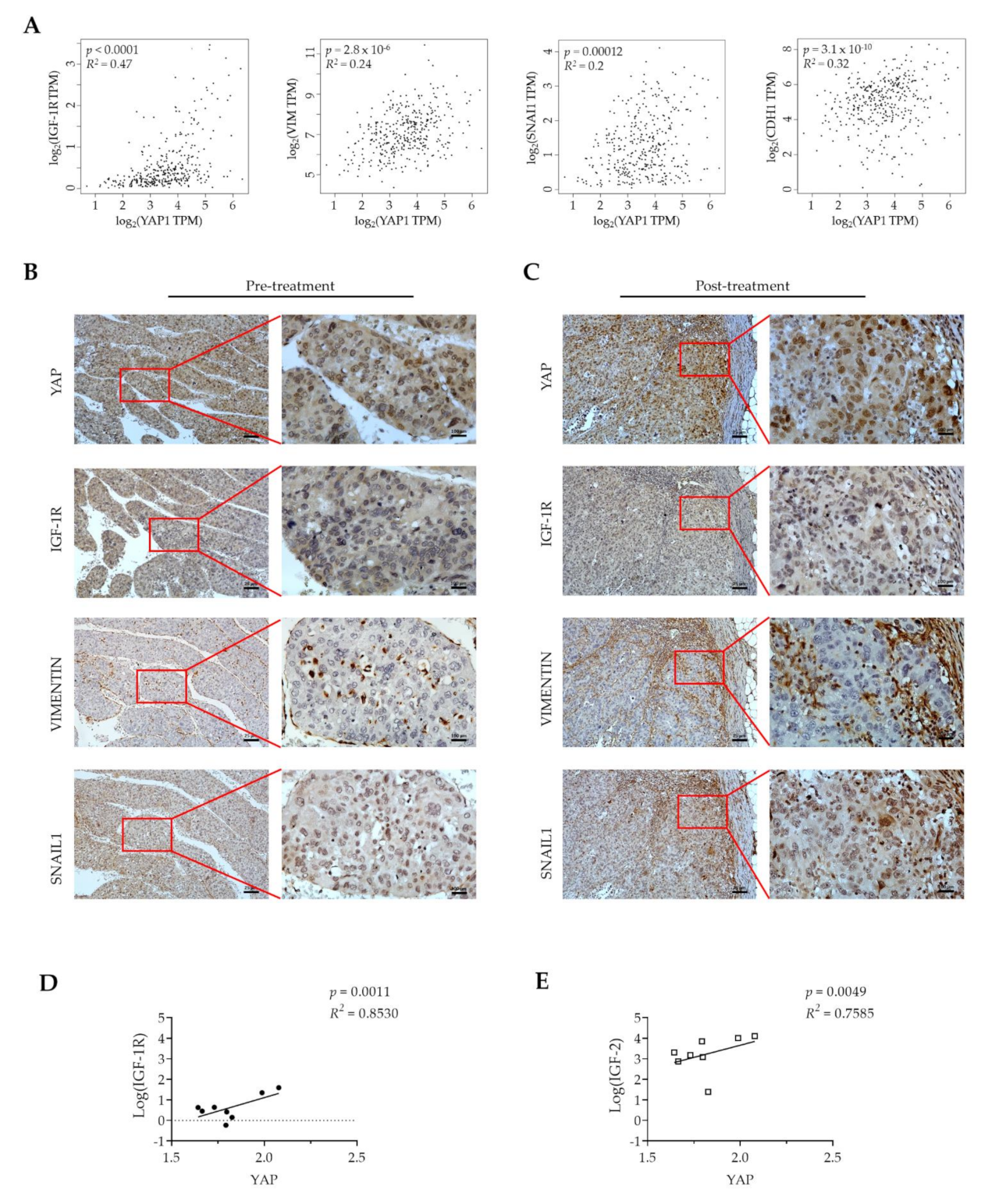 Cancers 13 03812 g005