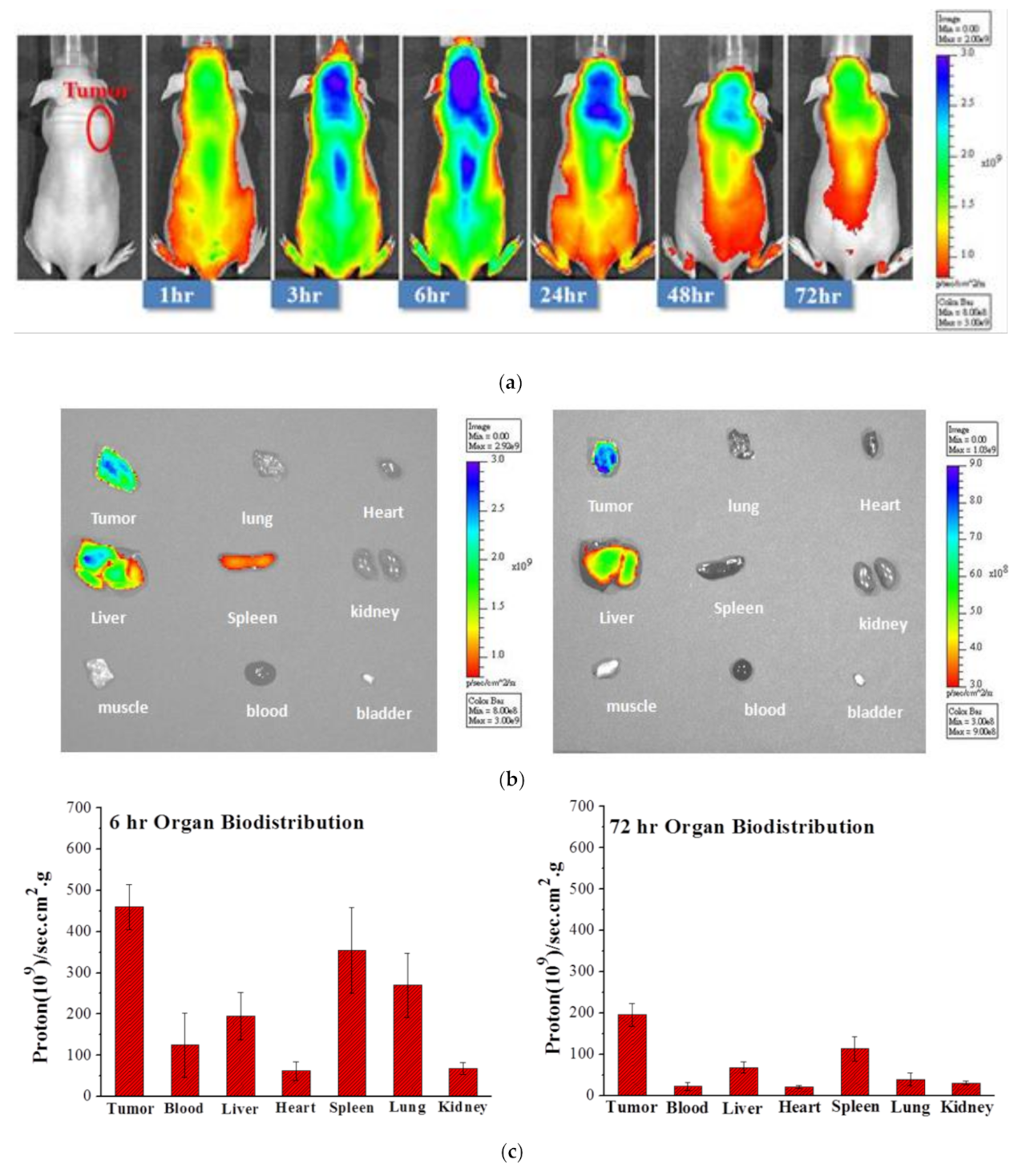 Cancers 13 03816 g004 550
