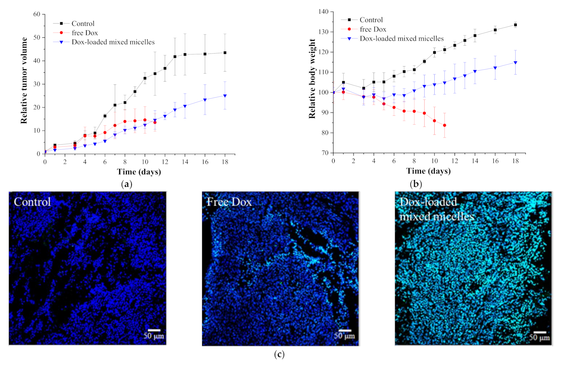 Cancers 13 03816 g006 550