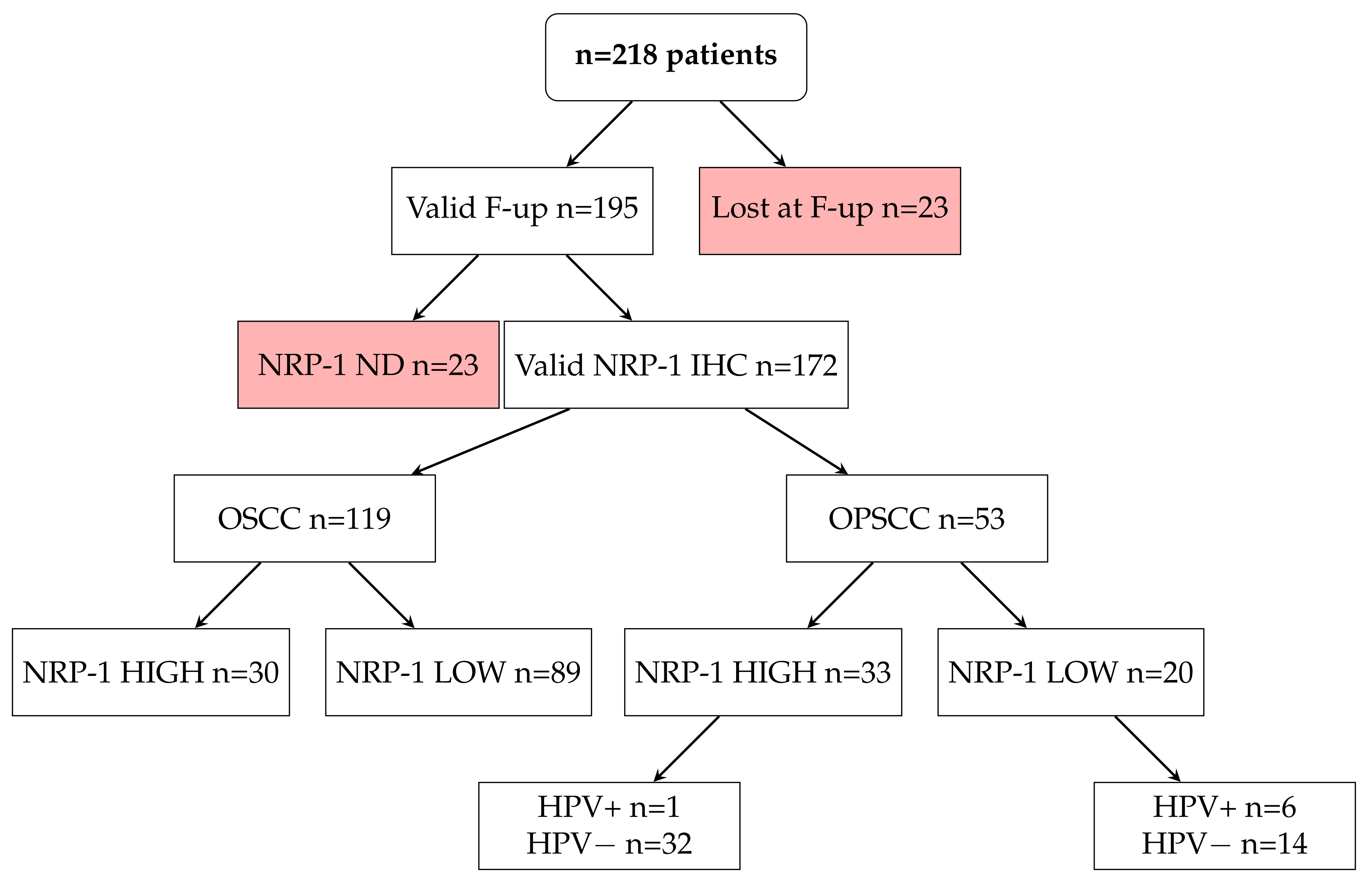 Cancers 13 03822 g001 Cancers 13 03822 g001
