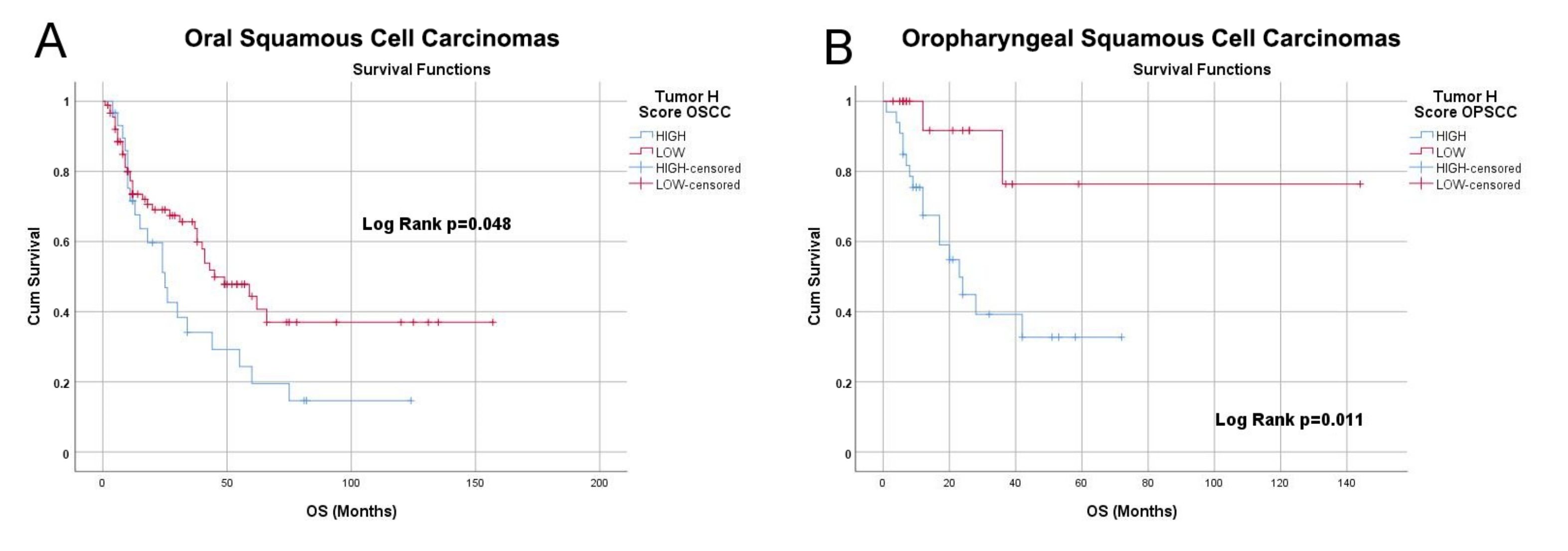 Cancers 13 03822 g007 Cancers 13 03822 g007