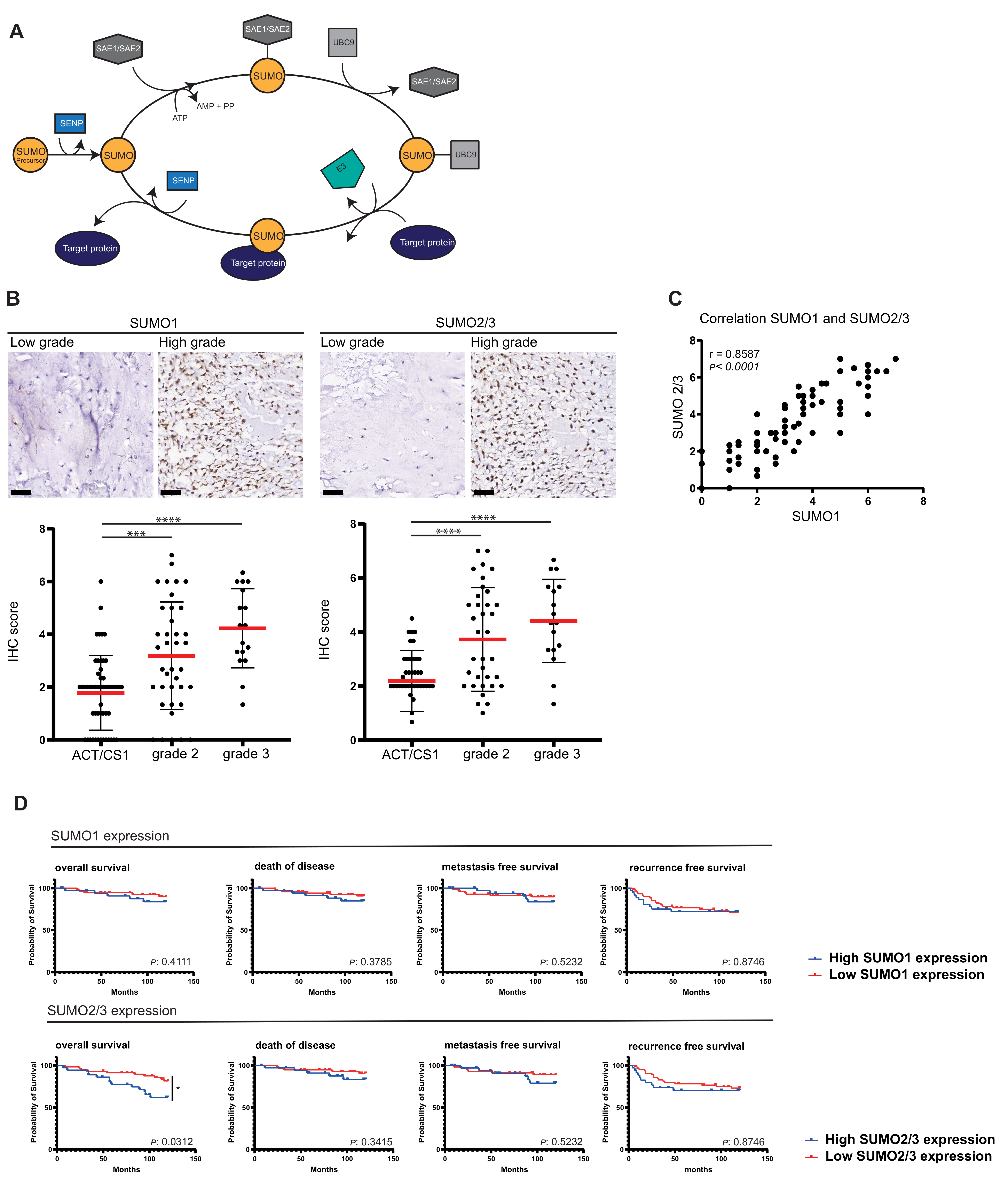 Cancers 13 03823 g001