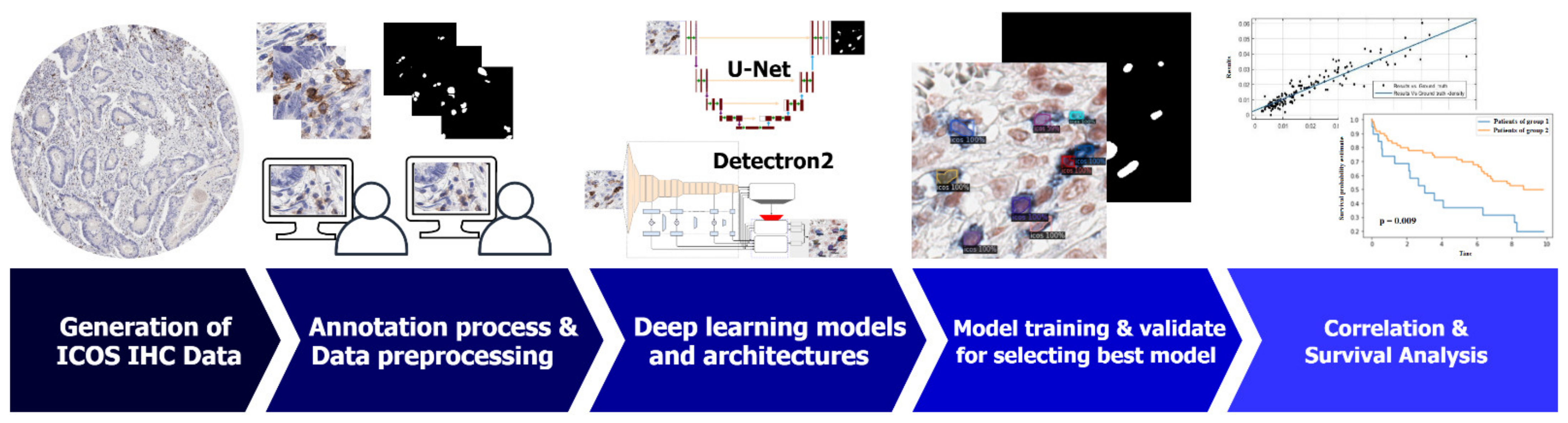 Cancers 13 03825 g001